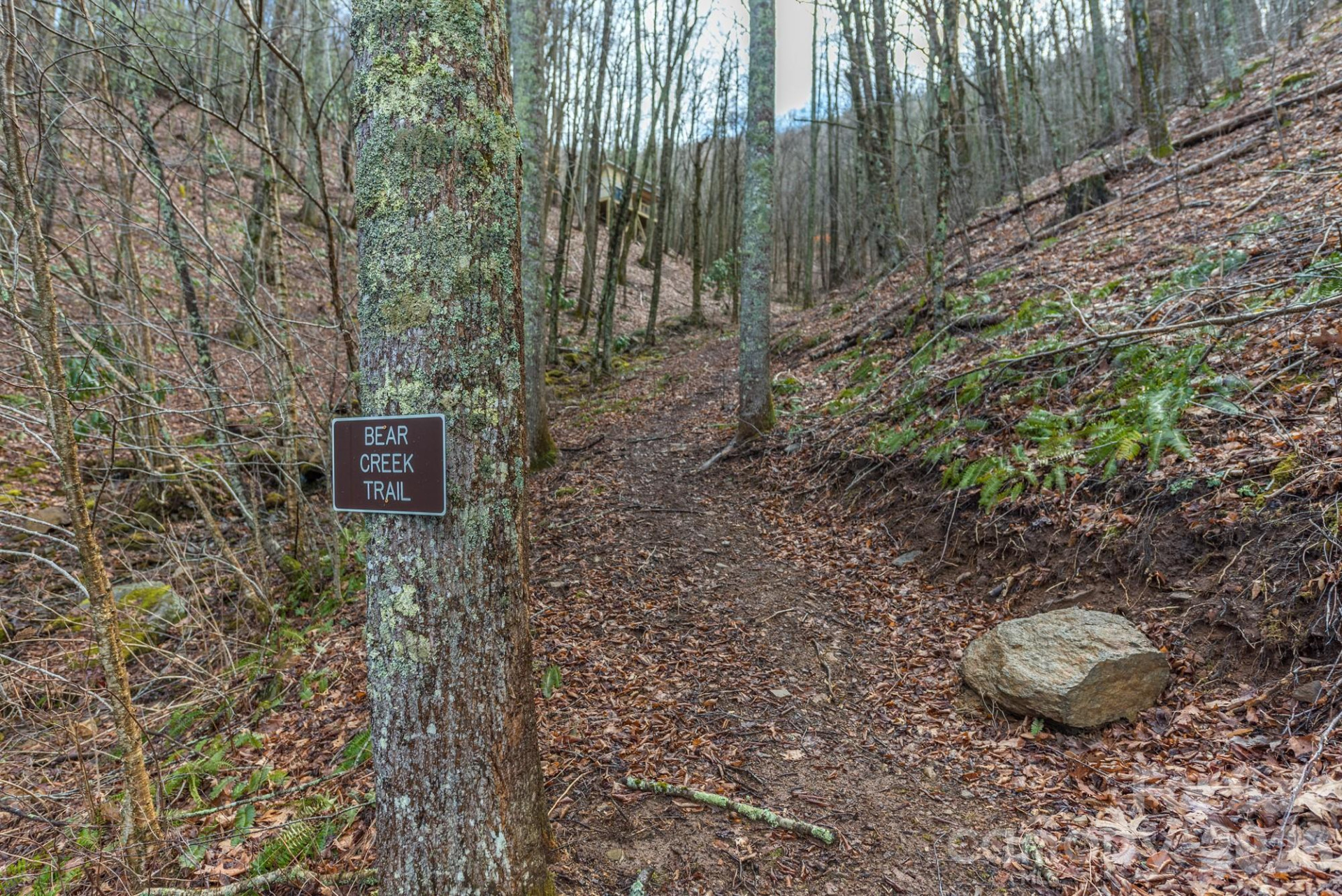 1279 Arborcrest Way #38 - Photo 37