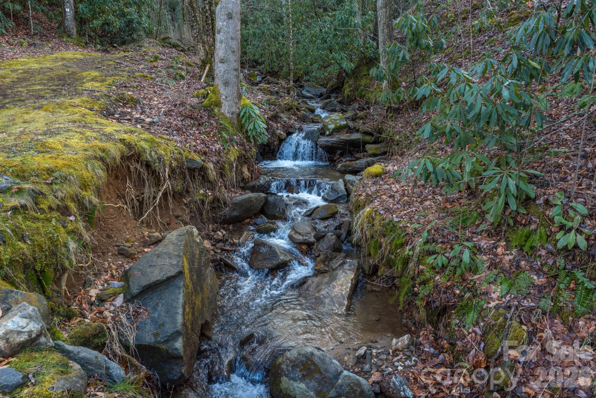 1279 Arborcrest Way #38 - Photo 38