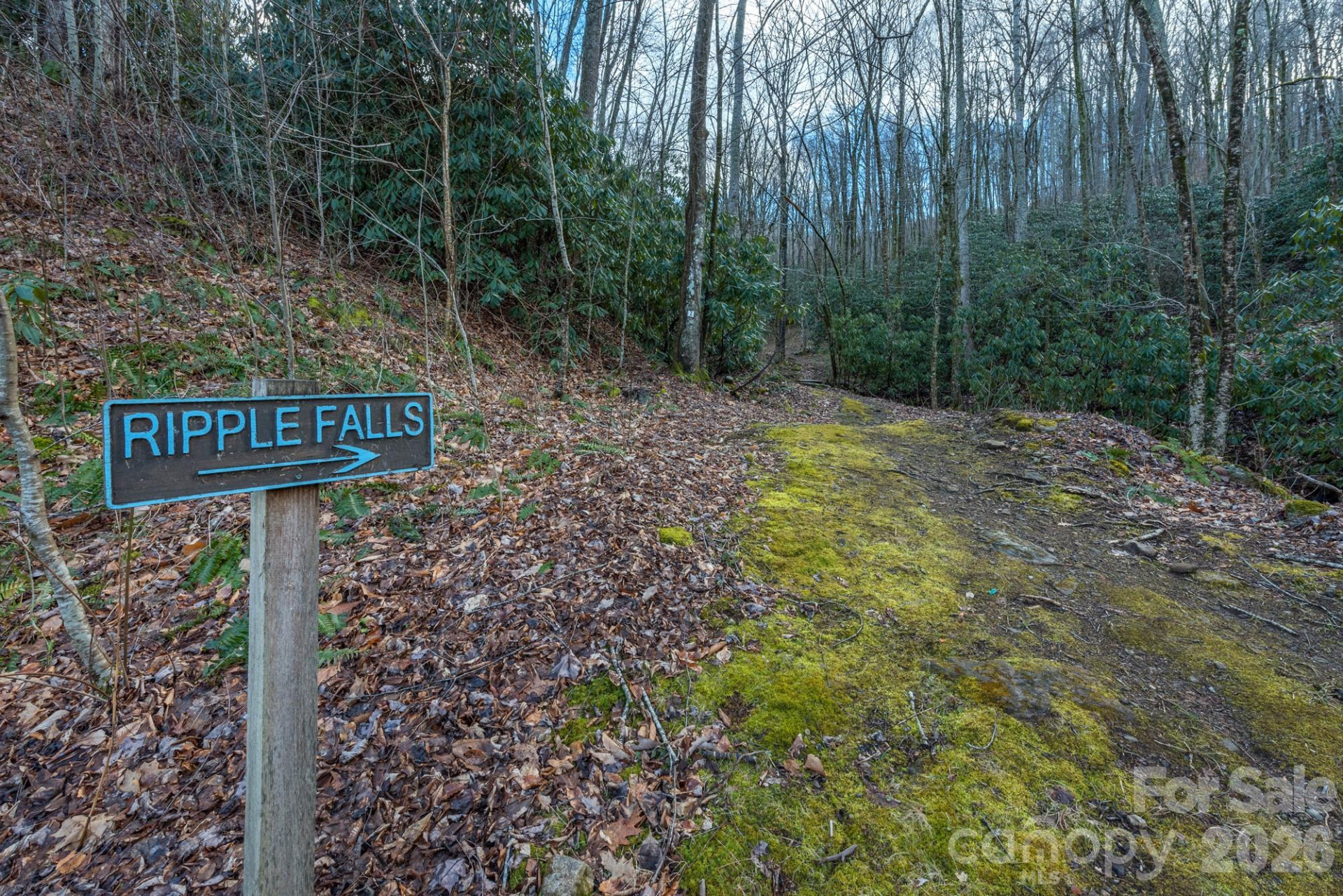 1279 Arborcrest Way #38 - Photo 39