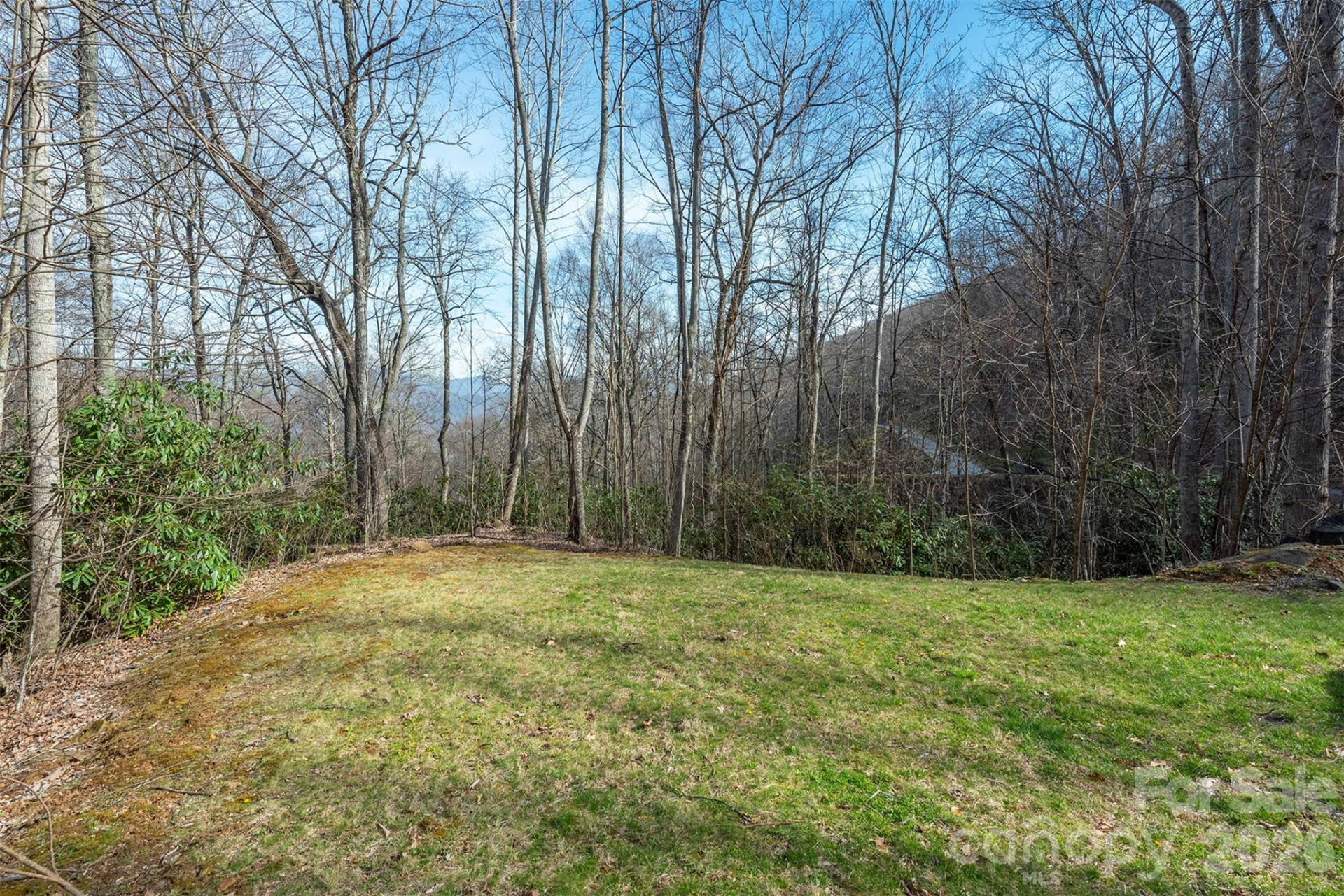 1279 Arborcrest Way #38 - Photo 5