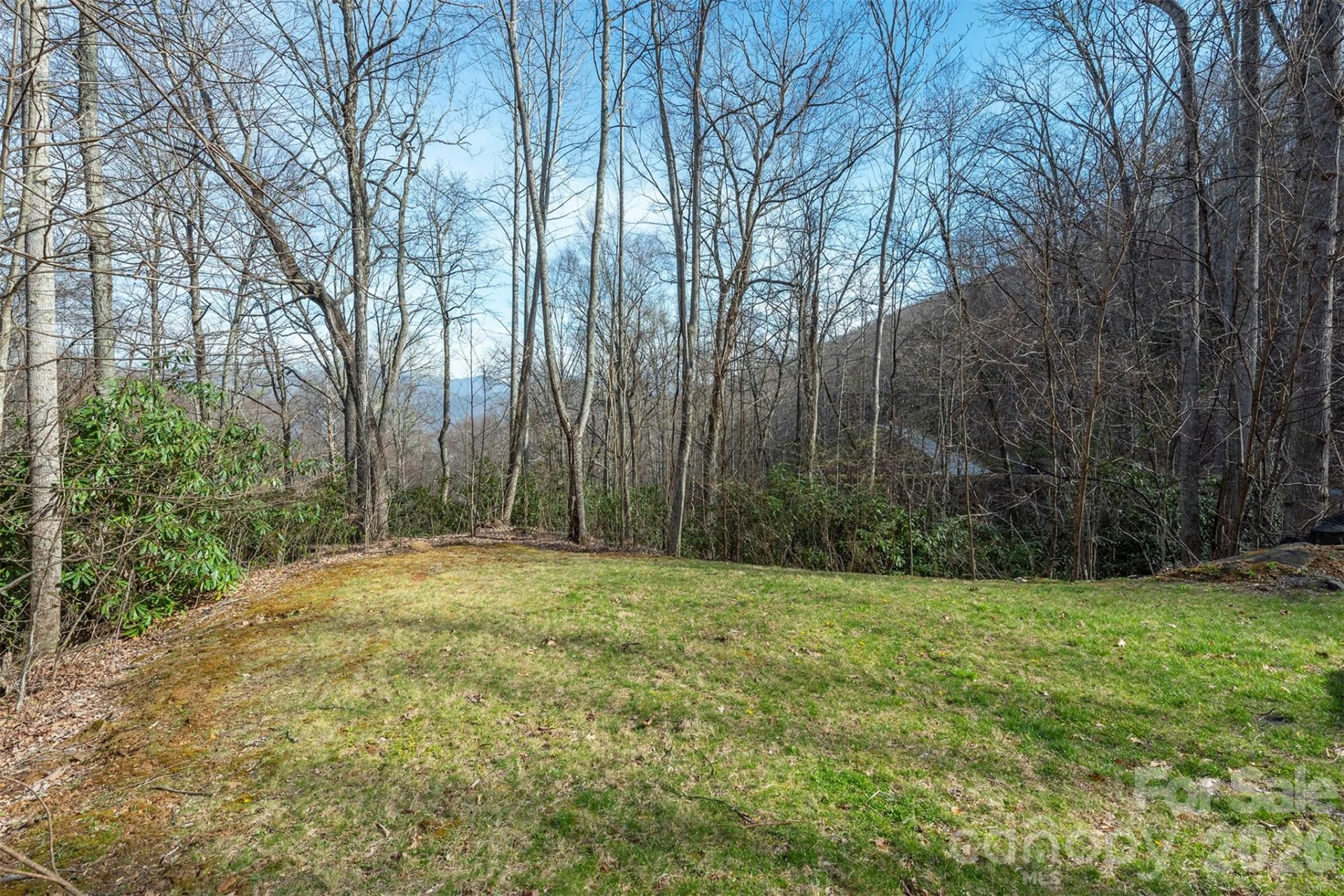 1279 Arborcrest Way #38 - Photo 5