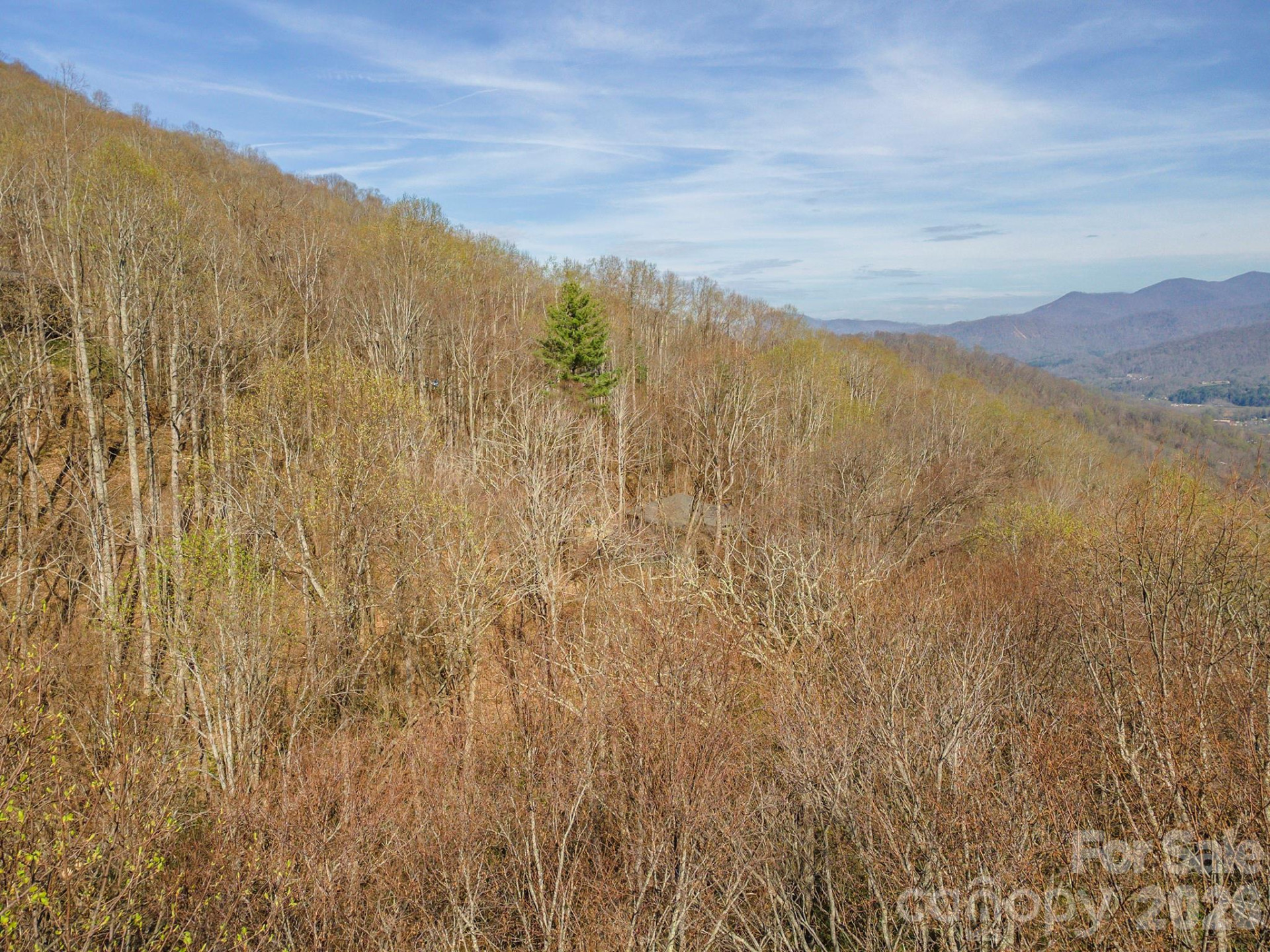 1279 Arborcrest Way #38 - Photo 43