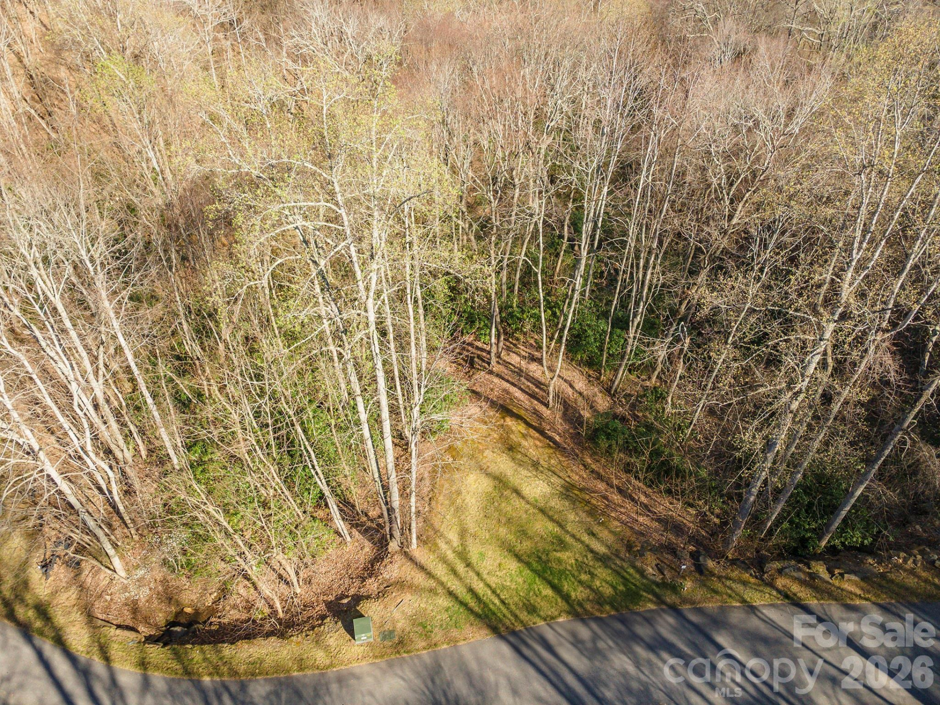 1279 Arborcrest Way #38 - Photo 6