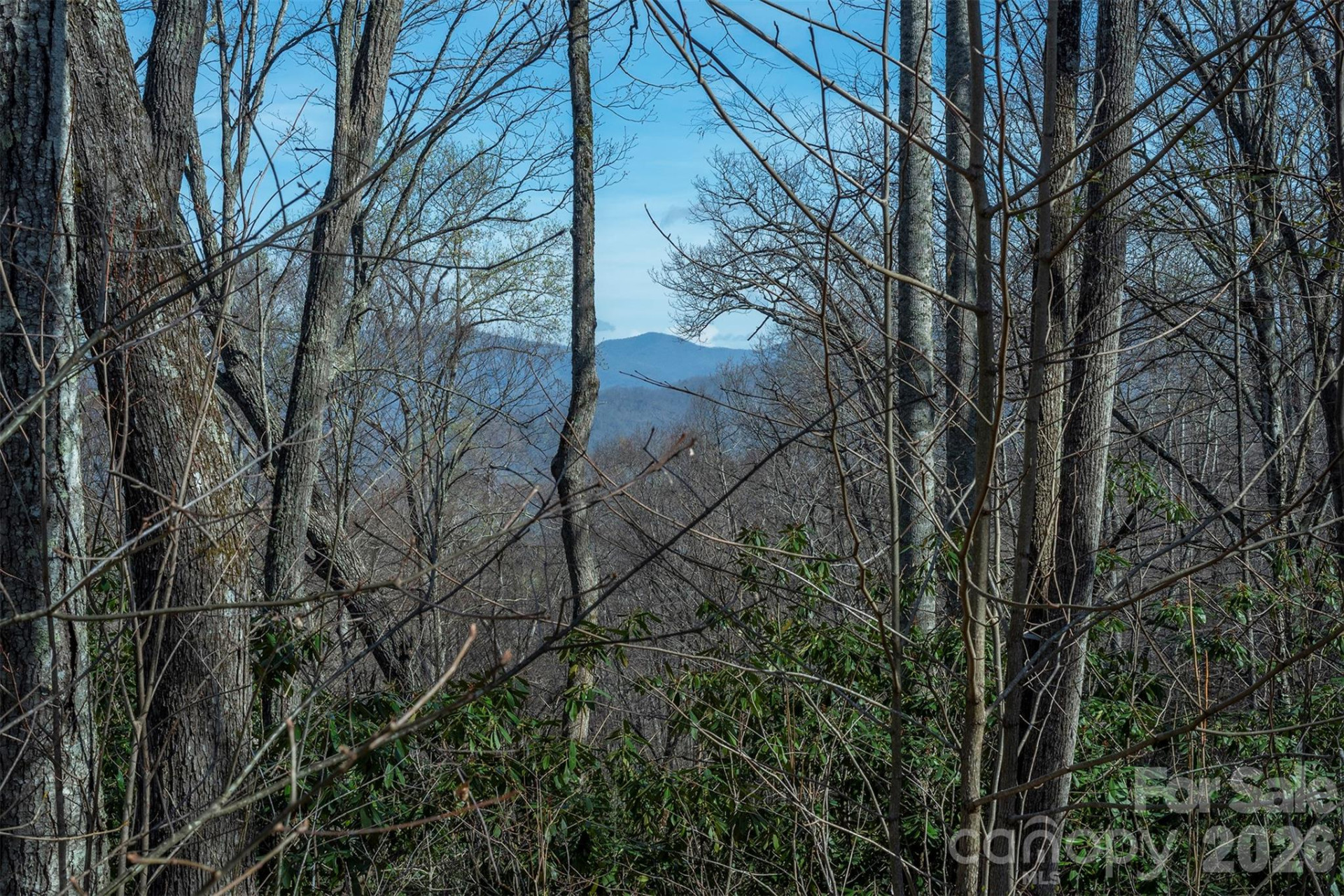 1279 Arborcrest Way #38 - Photo 8