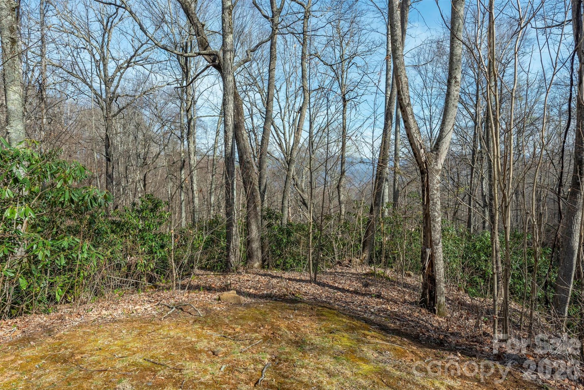 1279 Arborcrest Way #38 - Photo 9