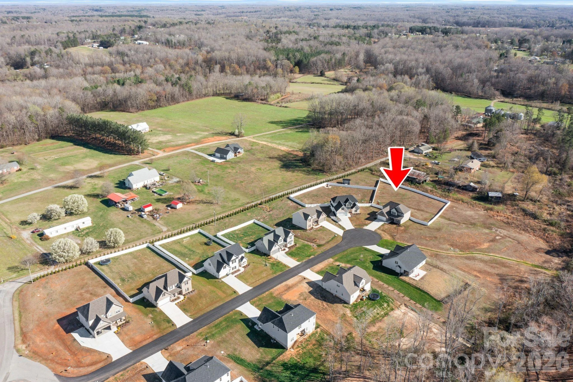 206 Hackamore Trail - Photo 3