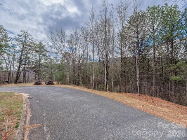 102 Trillium Lane, Black Mountain, NC, 28711