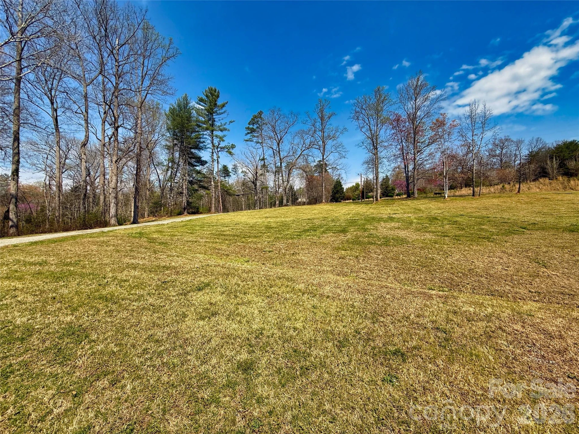 4319 US 64 Highway - Photo 45