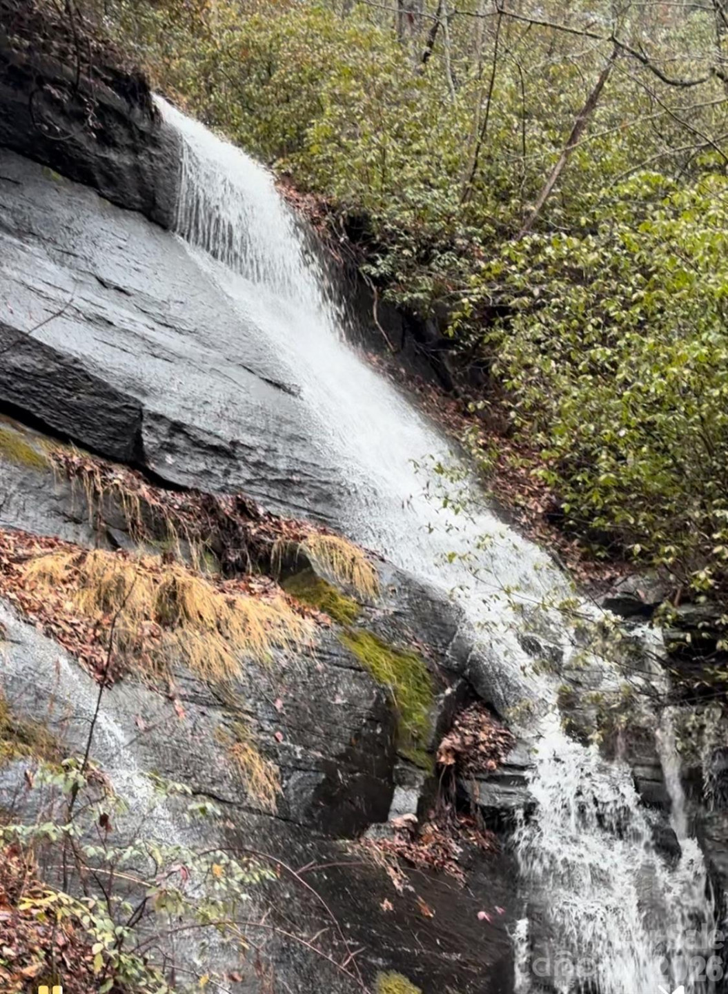 1424 Wolfpen Road - Photo 2