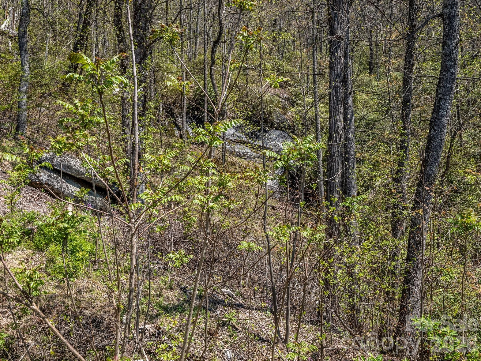 1424 Wolfpen Road - Photo 39