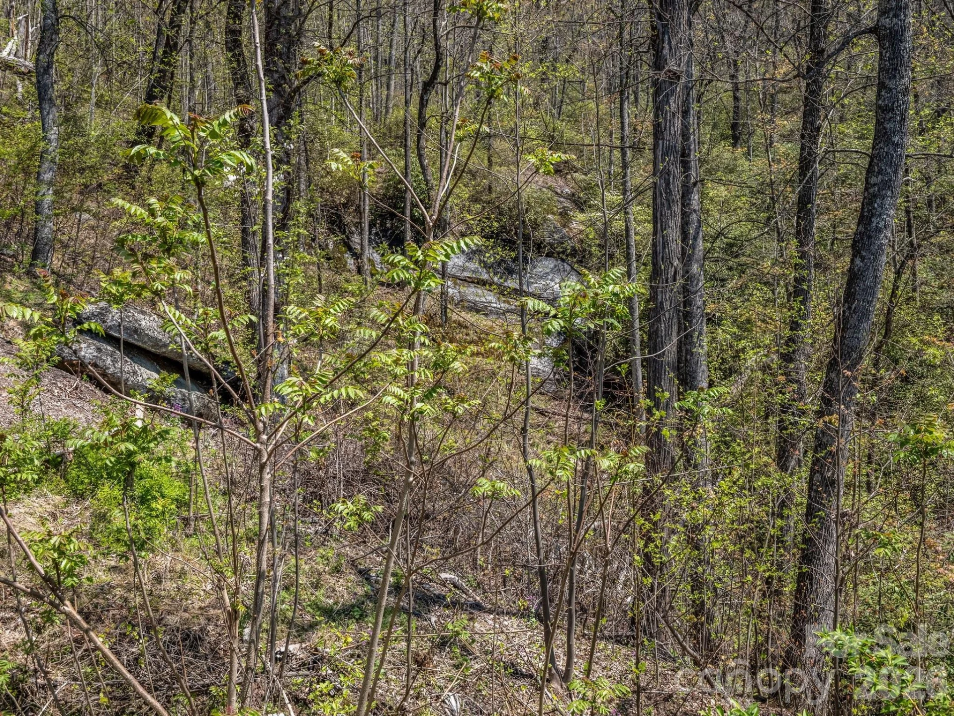 1424 Wolfpen Road - Photo 39