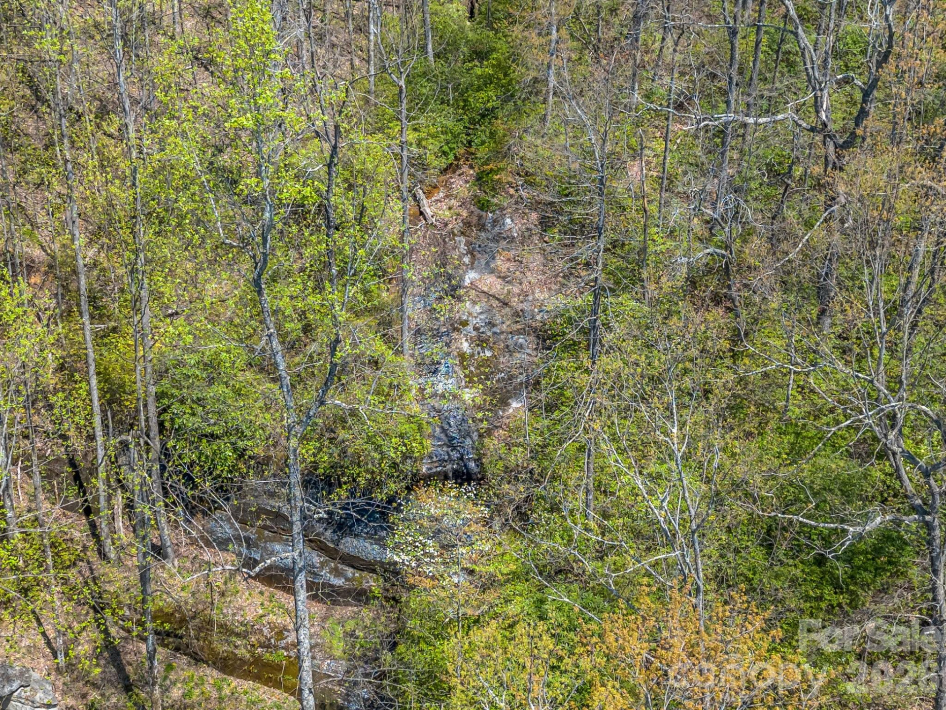 1424 Wolfpen Road - Photo 44