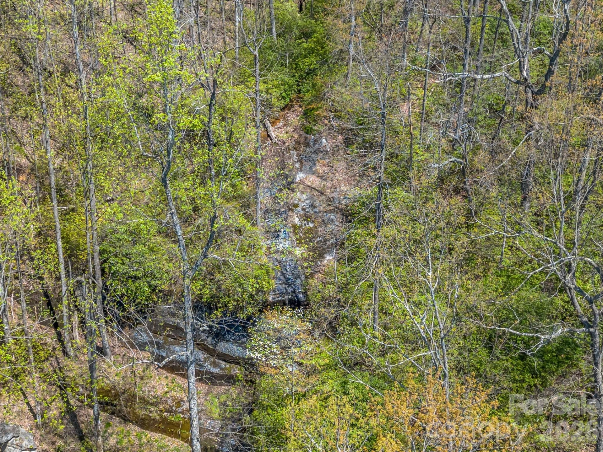 1424 Wolfpen Road - Photo 44