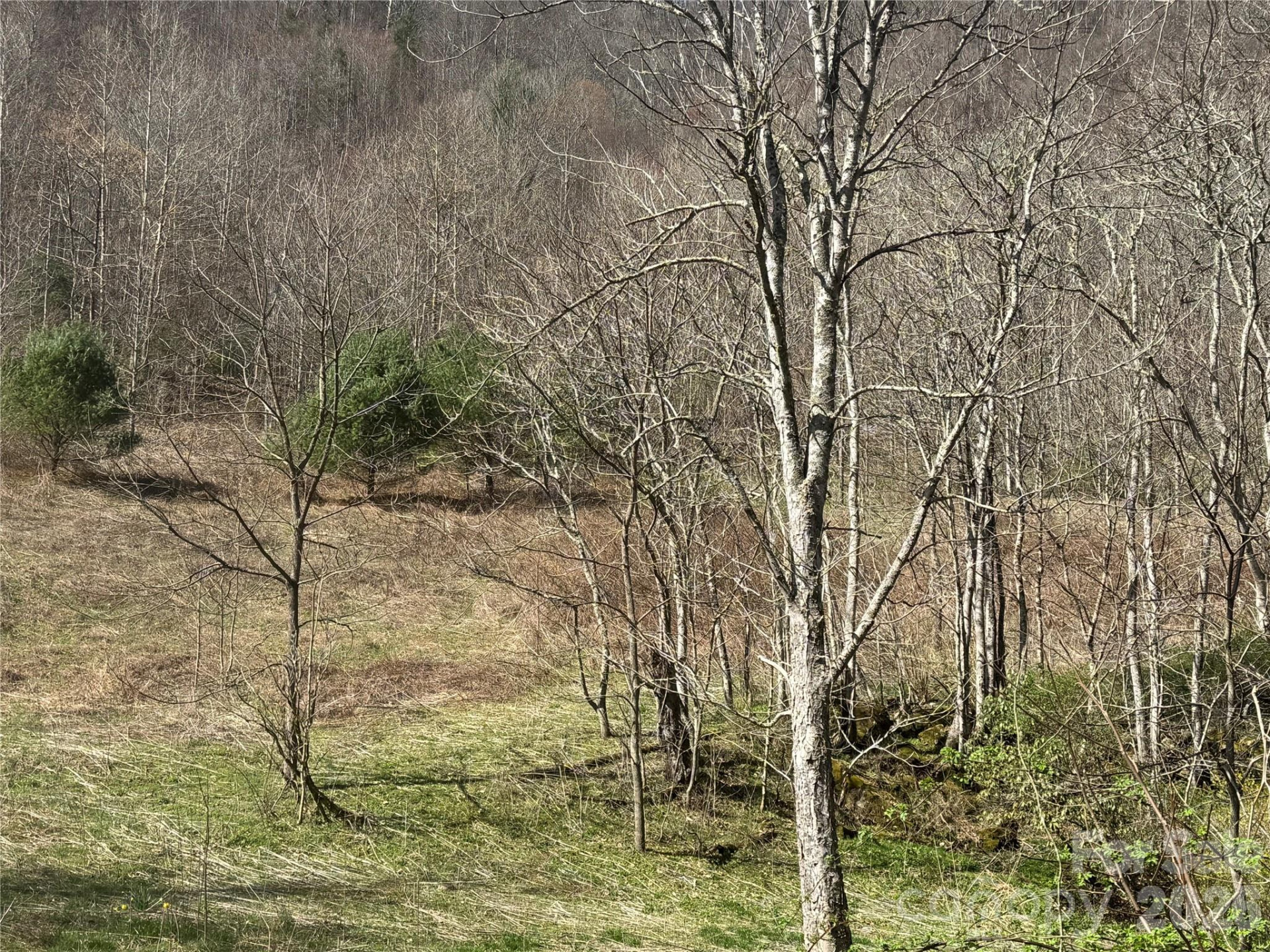 11288 Big Laurel Road - Photo 12