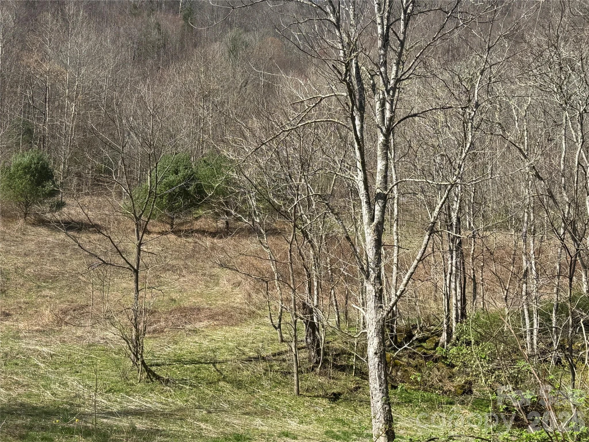 11288 Big Laurel Road - Photo 12