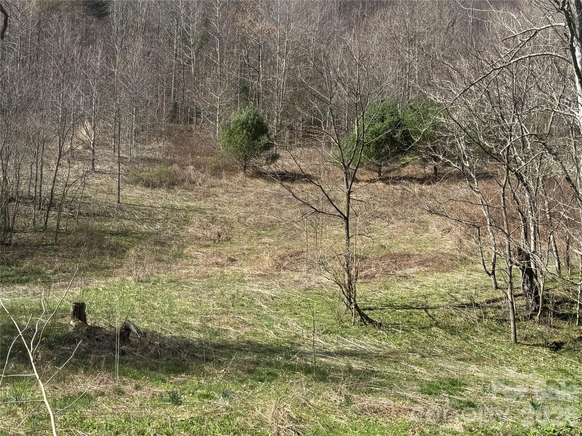 11288 Big Laurel Road - Photo 15