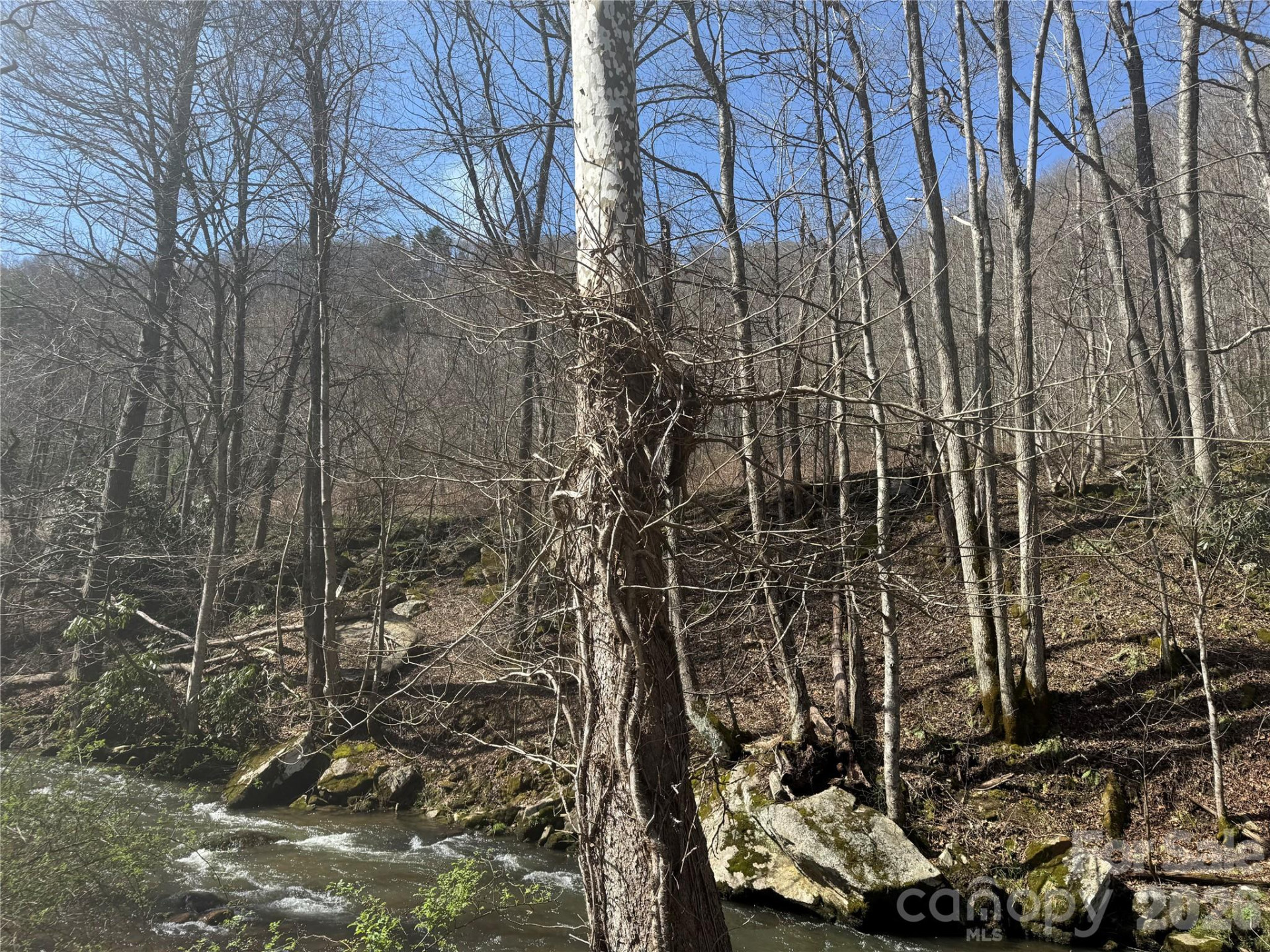 11288 Big Laurel Road - Photo 16