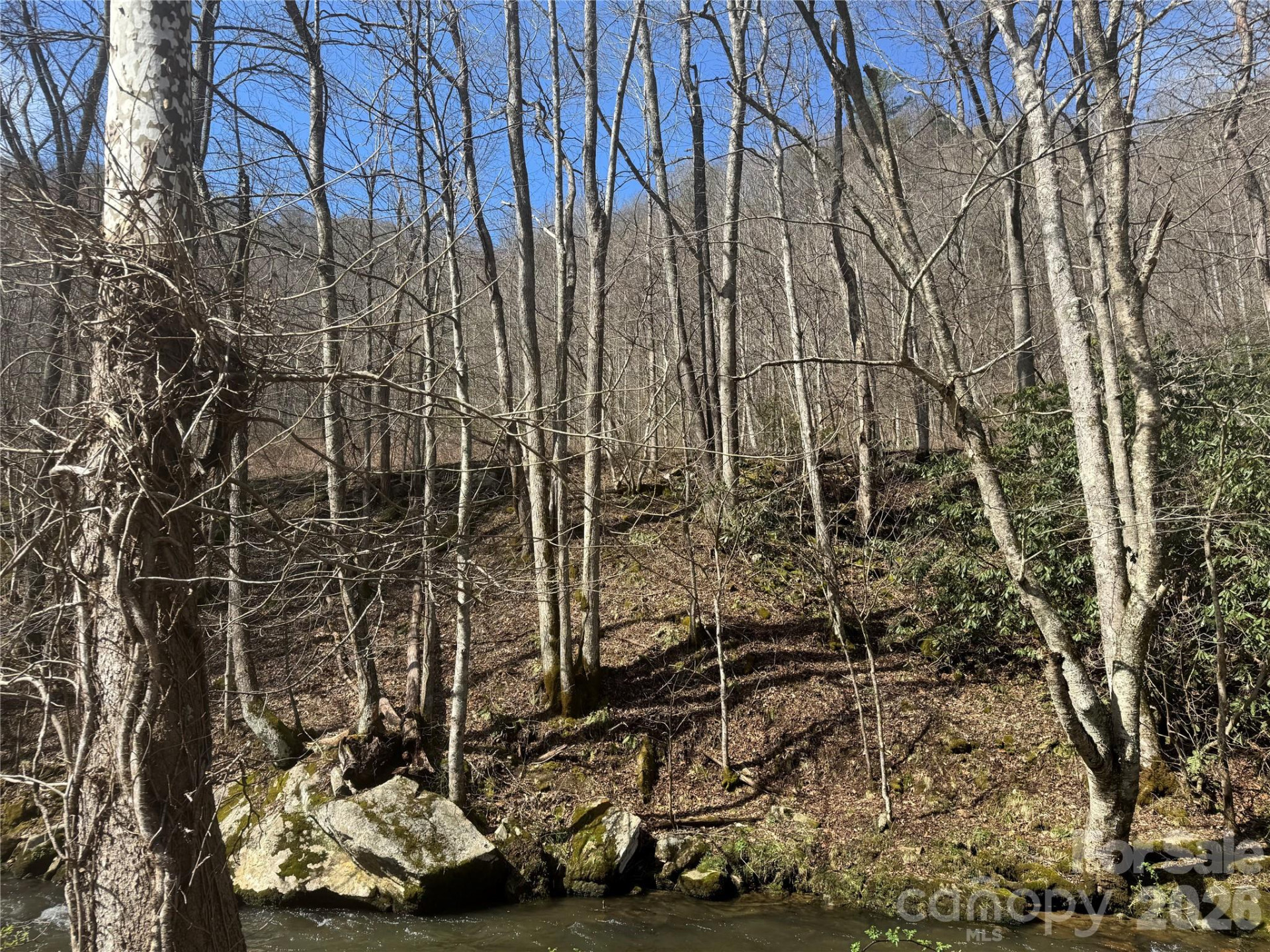 11288 Big Laurel Road - Photo 17