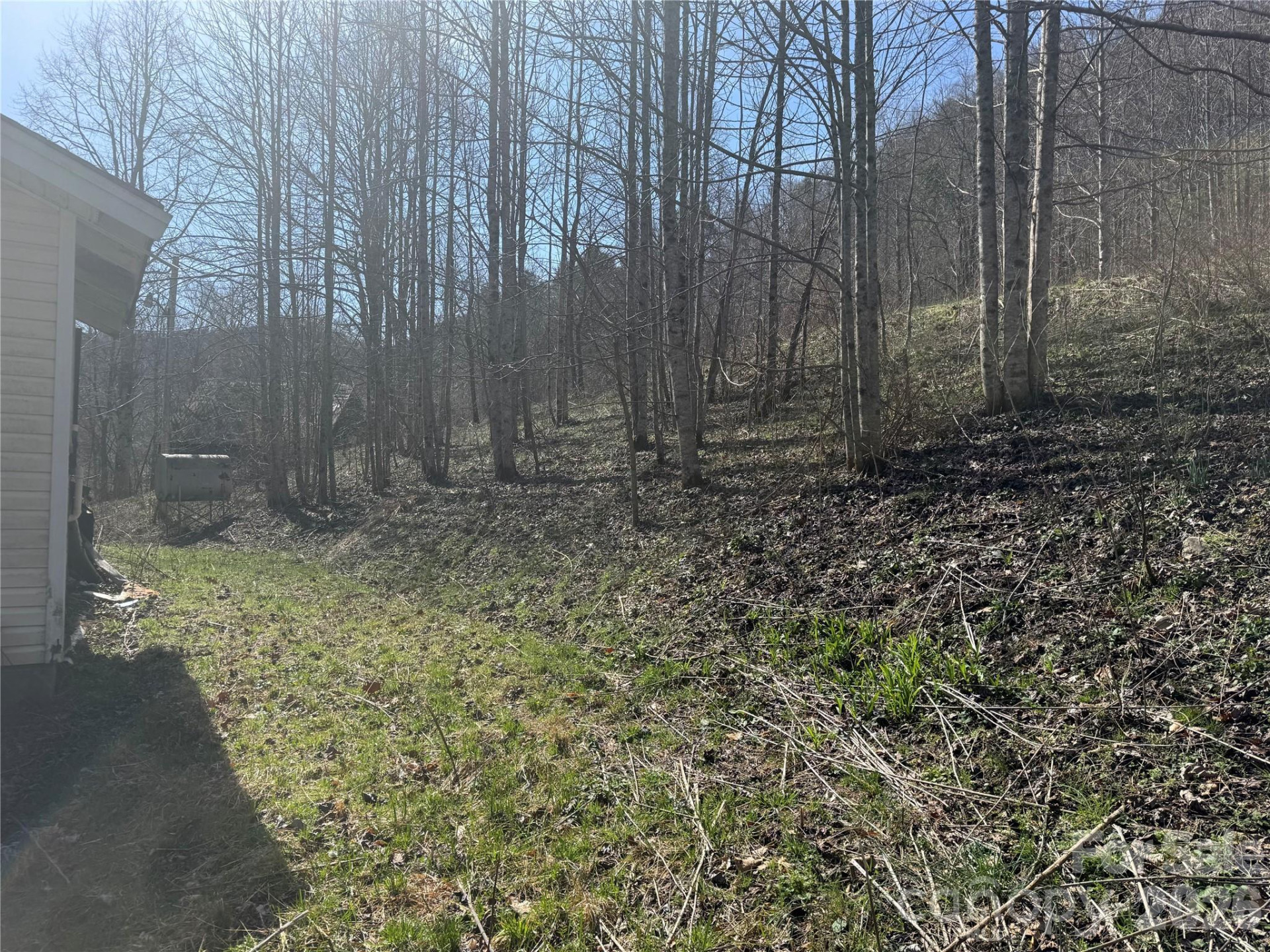 11288 Big Laurel Road - Photo 18