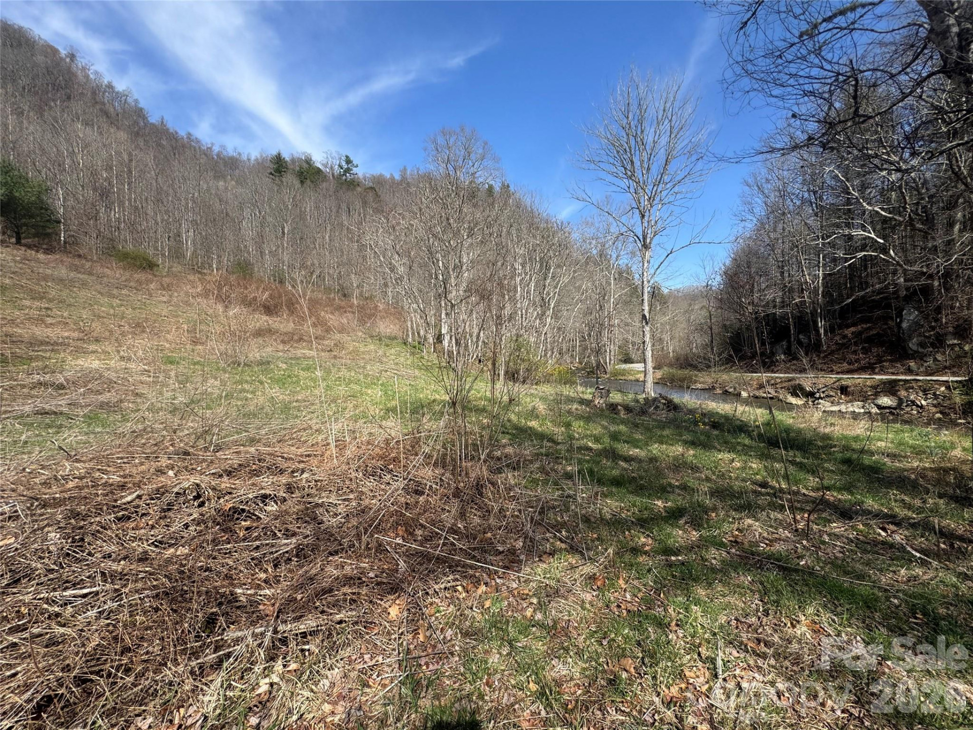 11288 Big Laurel Road - Photo 19