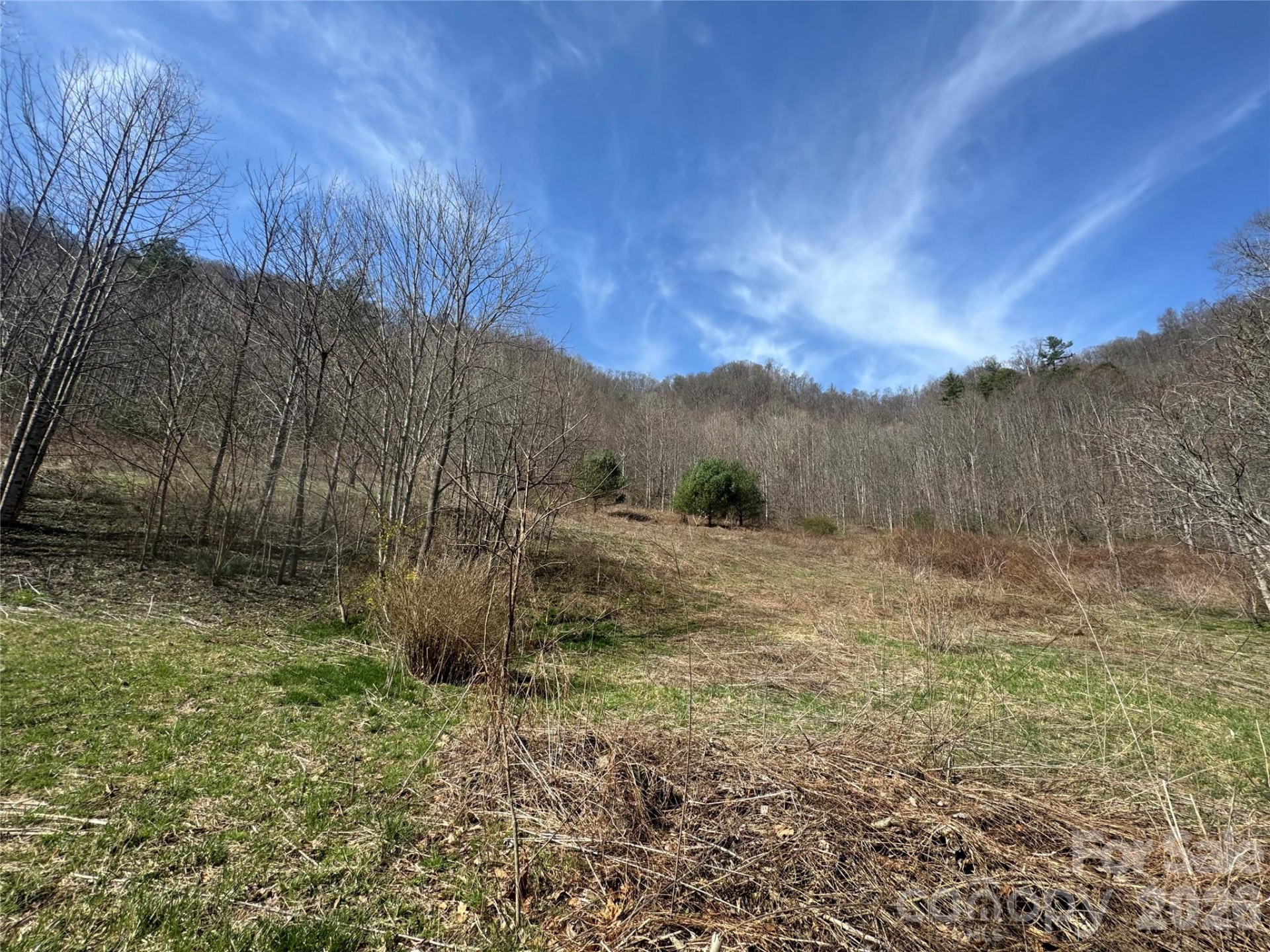 11288 Big Laurel Road - Photo 20