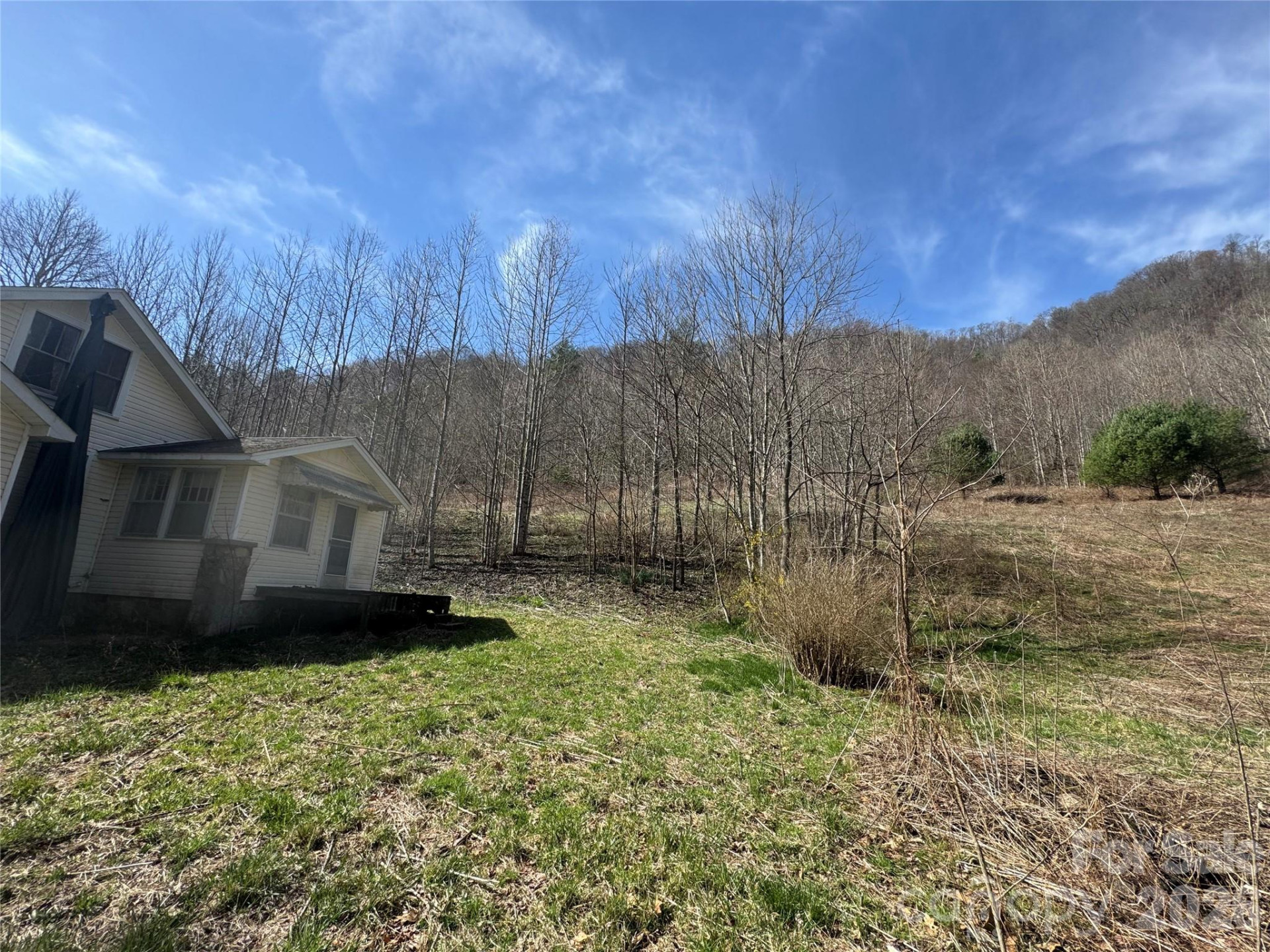 11288 Big Laurel Road - Photo 21