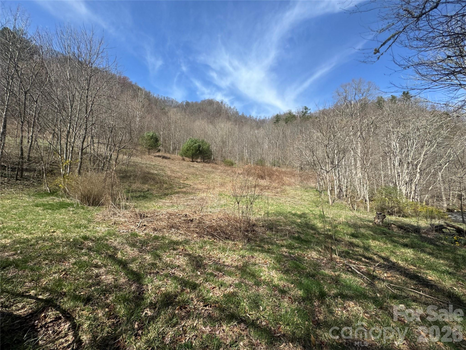 11288 Big Laurel Road - Photo 22