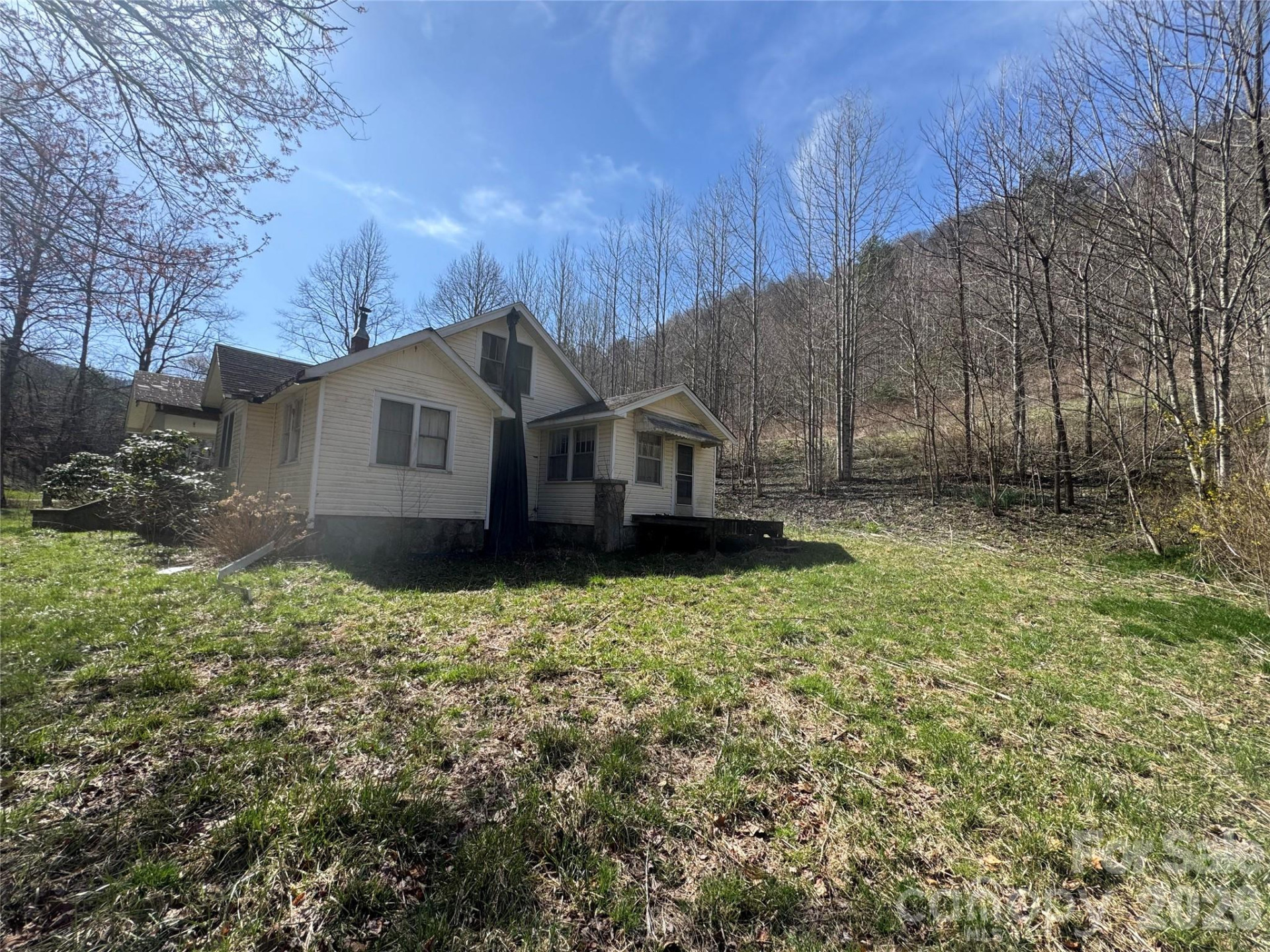 11288 Big Laurel Road - Photo 9