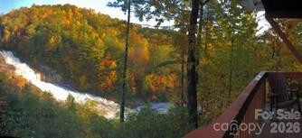 221 Toxaway Falls Drive #1 - Photo 2