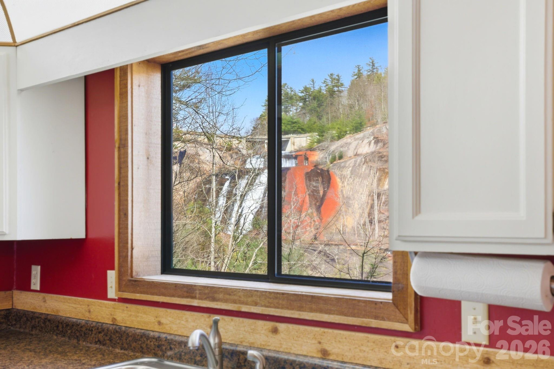 221 Toxaway Falls Drive #1 - Photo 19