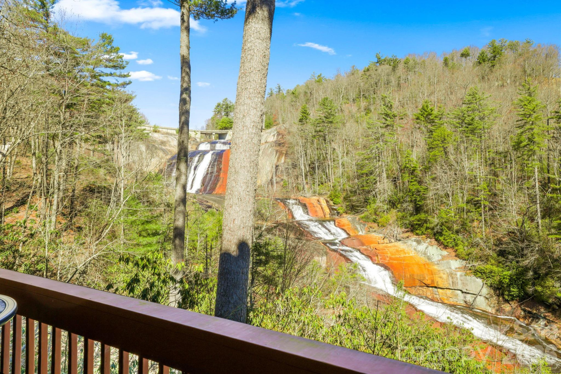 221 Toxaway Falls Drive #1 - Photo 34