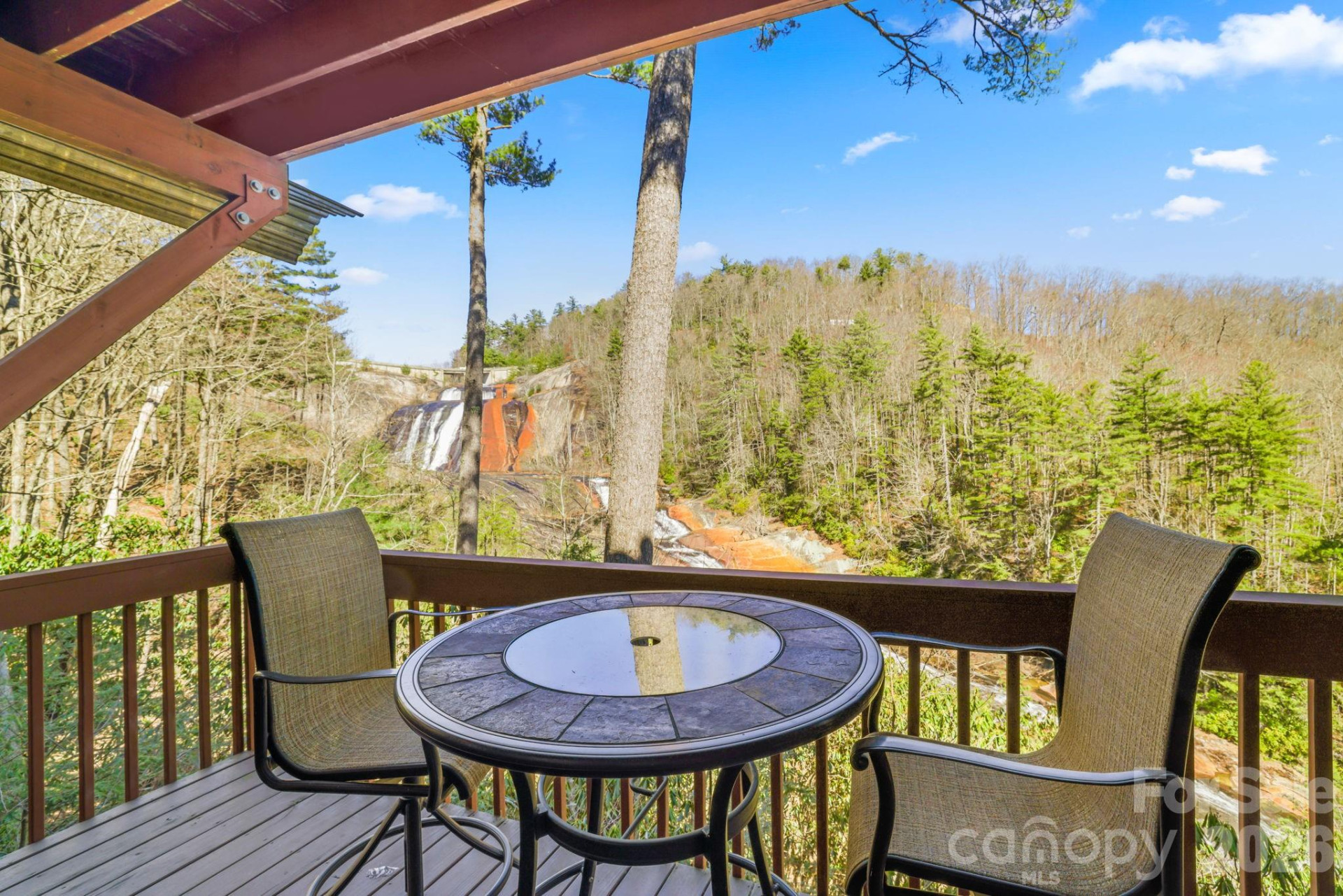 221 Toxaway Falls Drive #1 - Photo 36