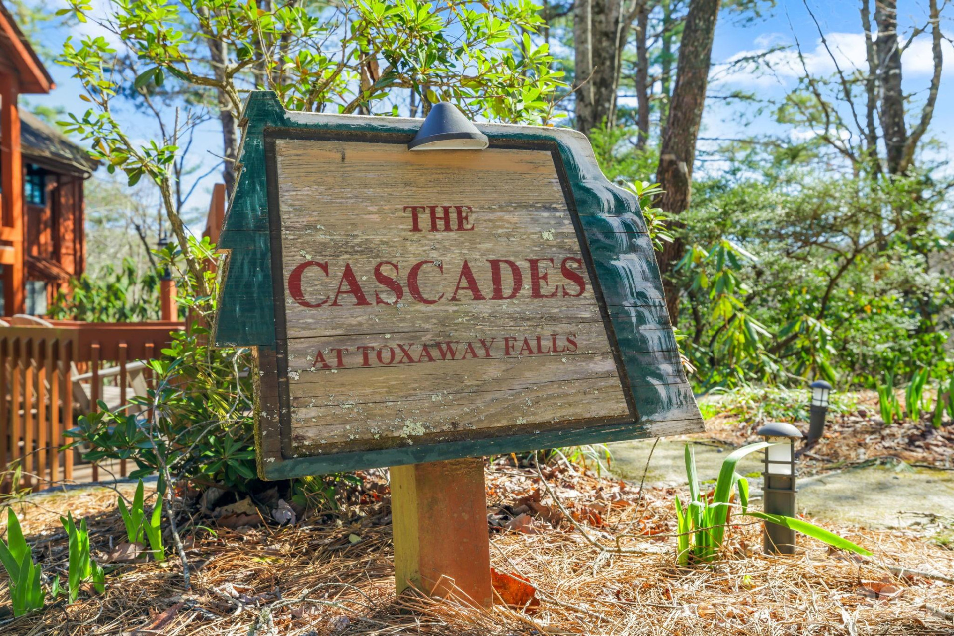 221 Toxaway Falls Drive #1 - Photo 46