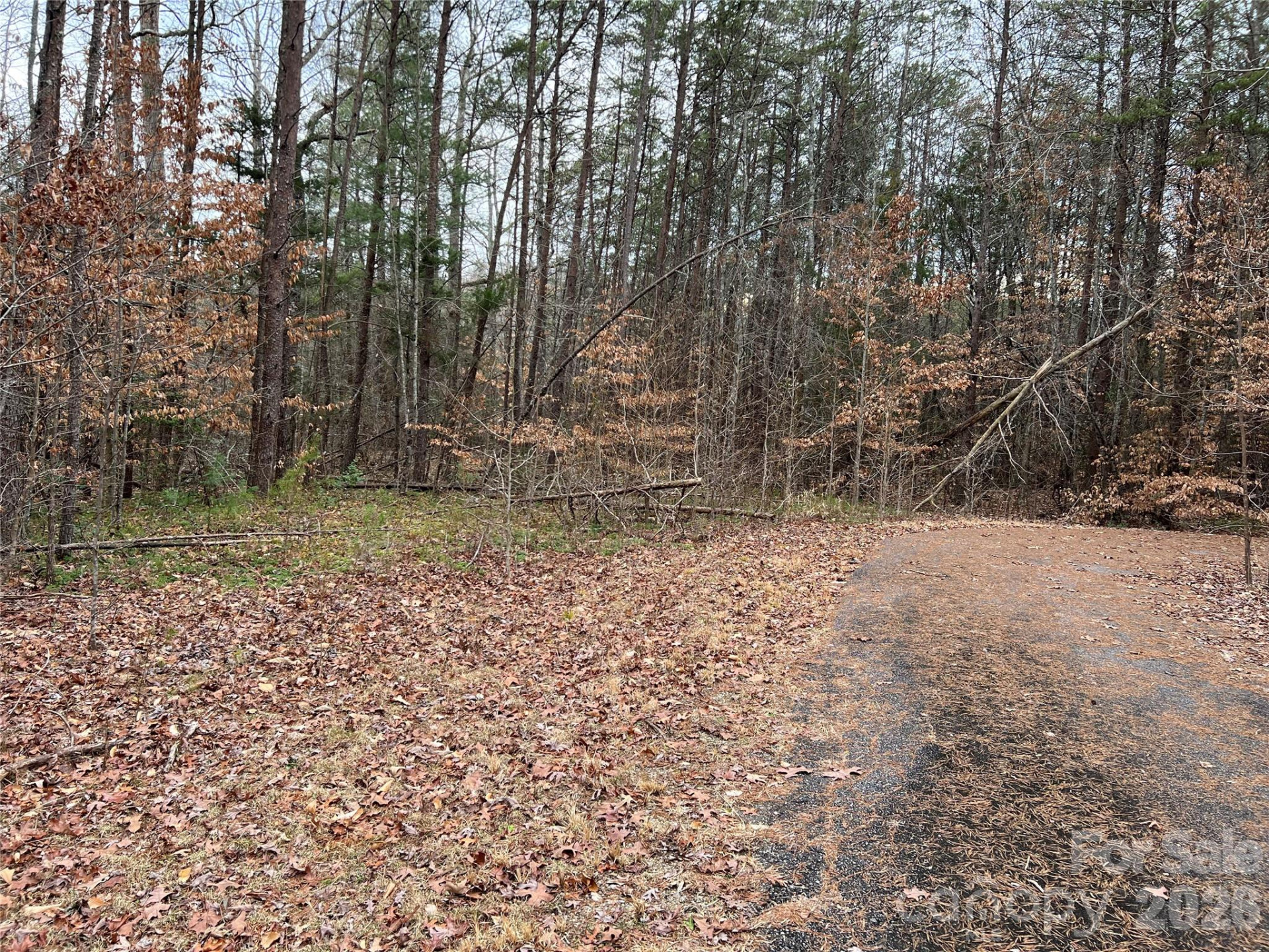 5291 Vista Lane - Photo 2