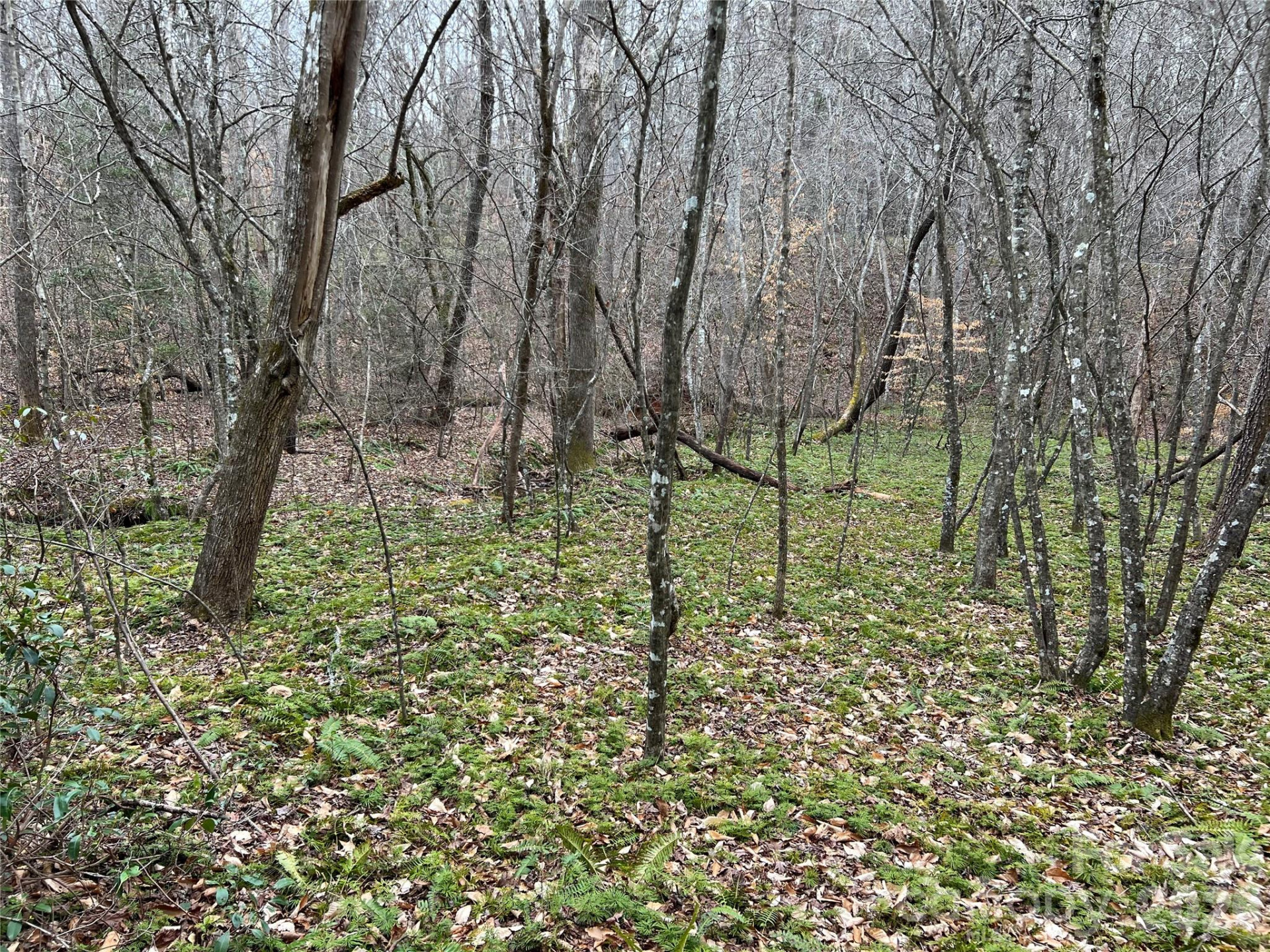 5291 Vista Lane - Photo 3