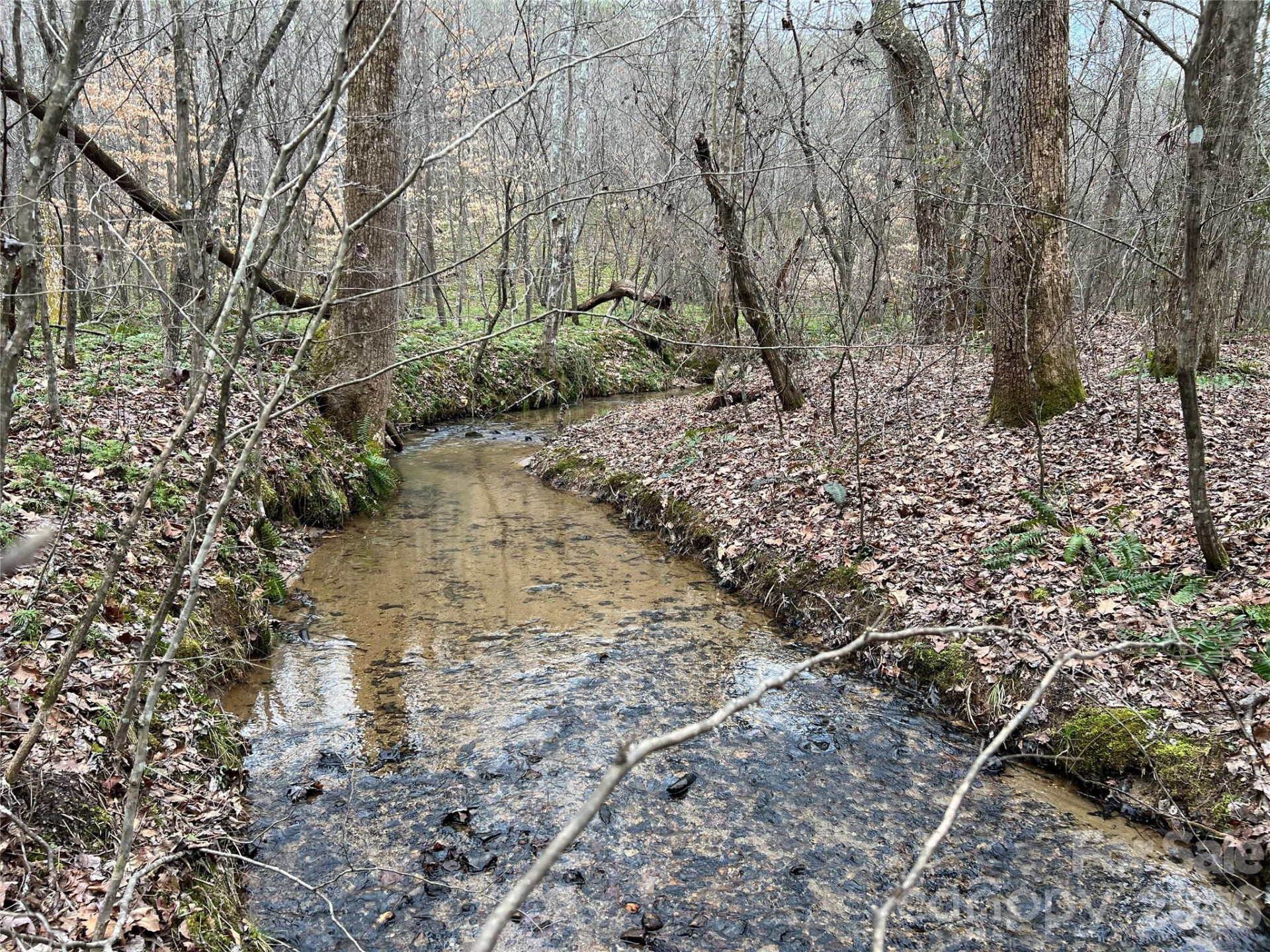 5291 Vista Lane - Photo 4