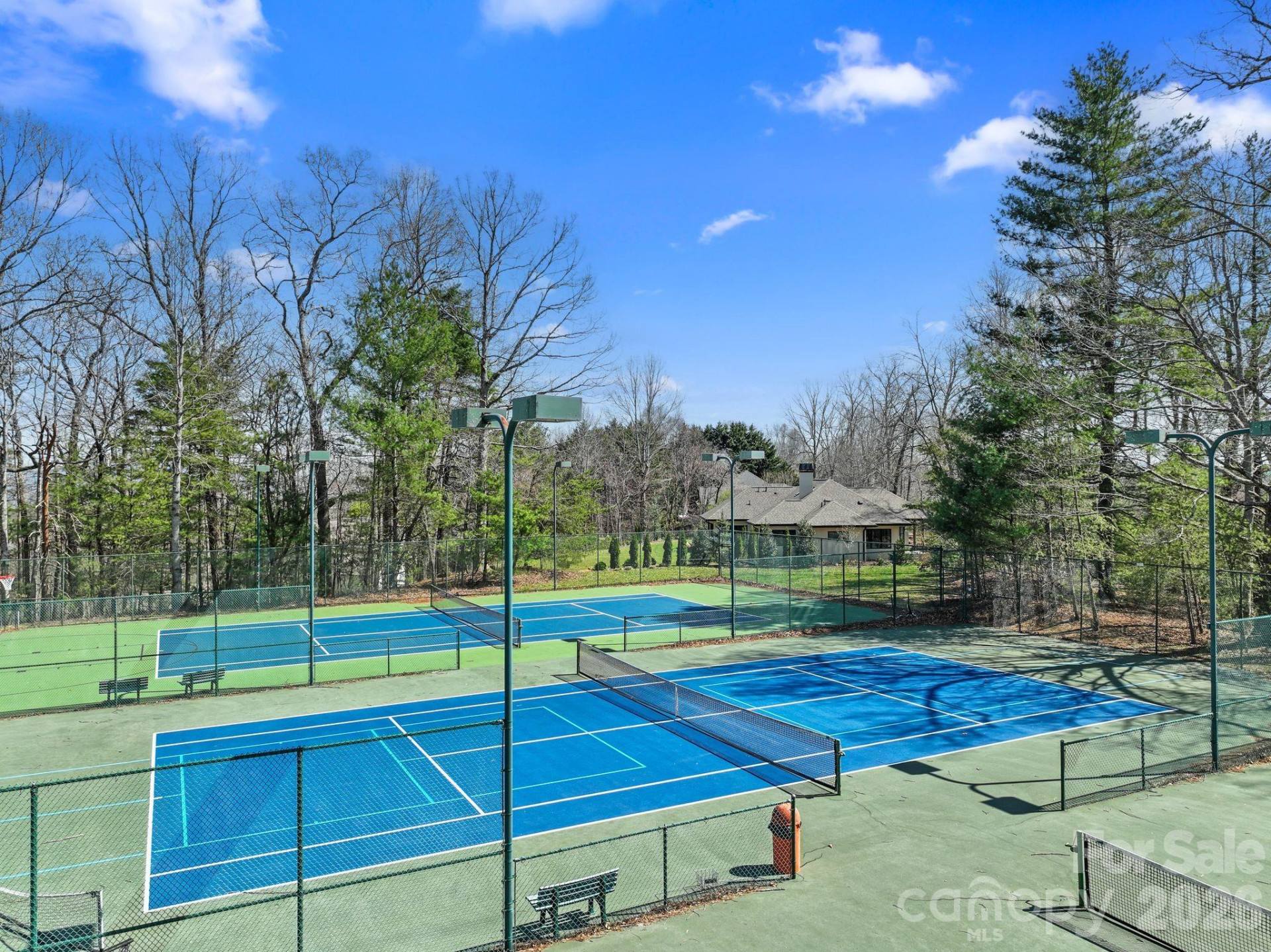 65 Sugar Maple Drive - Photo 47