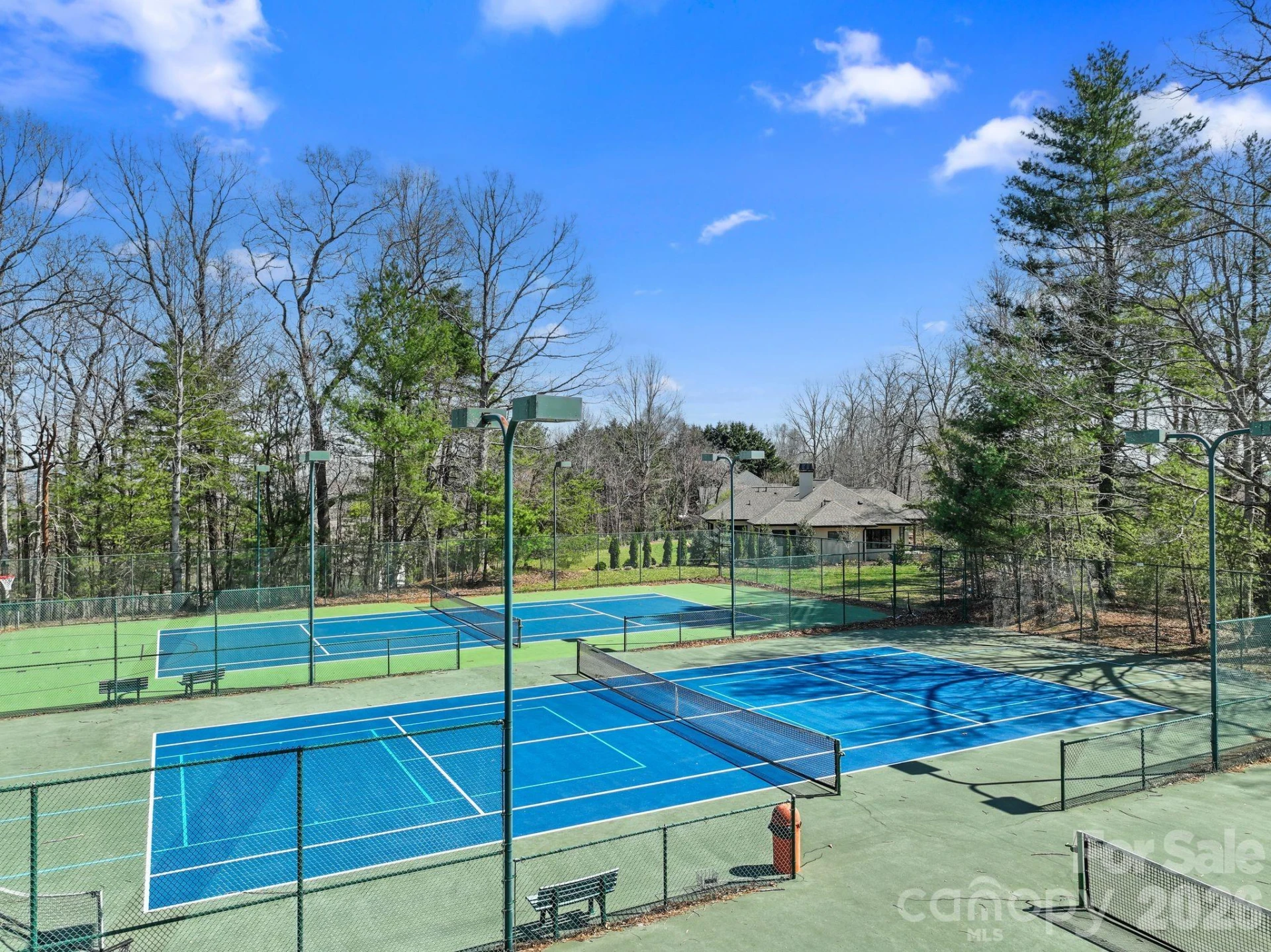 65 Sugar Maple Drive - Photo 47