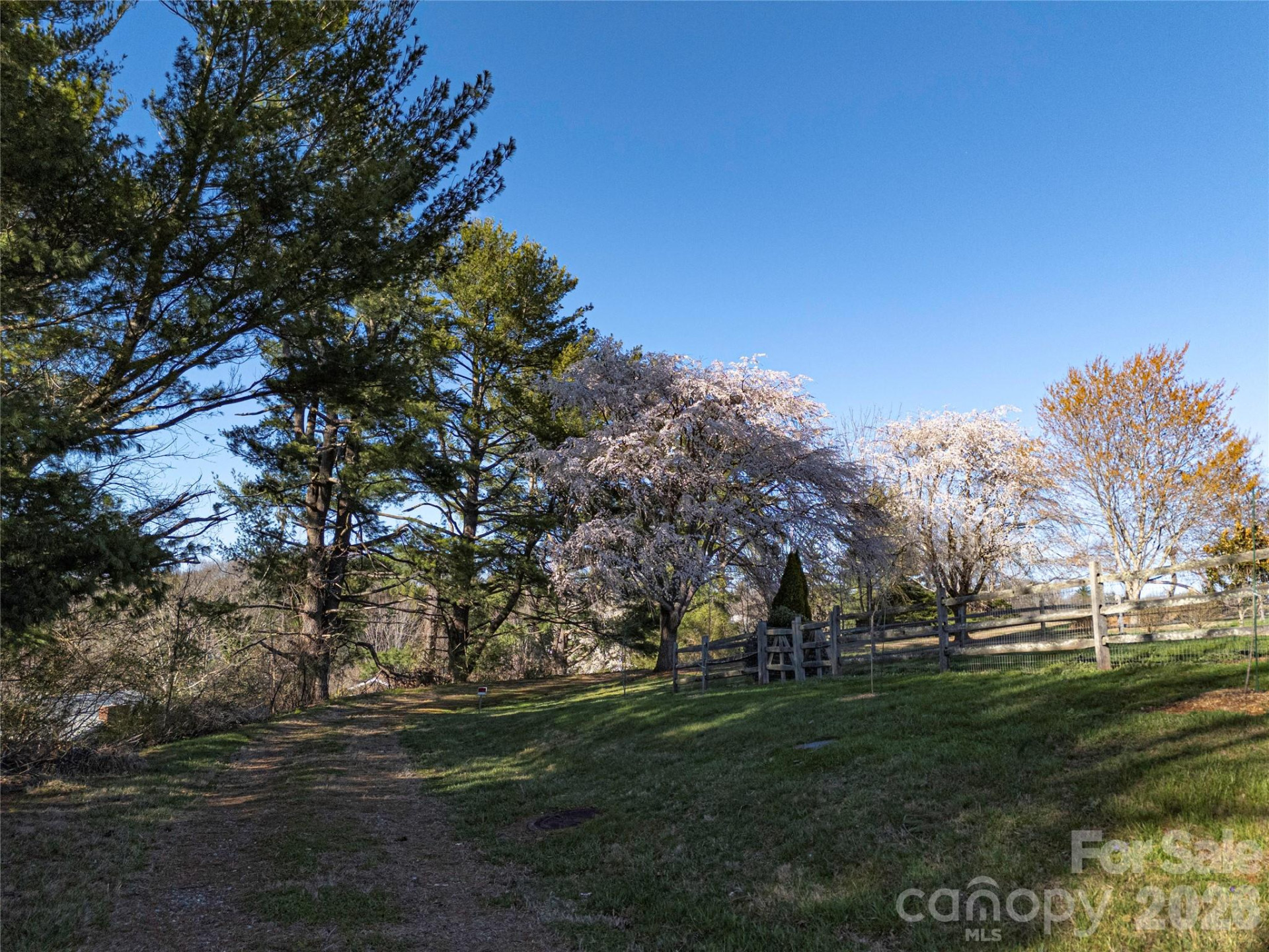 14 Mountain Terrace - Photo 16