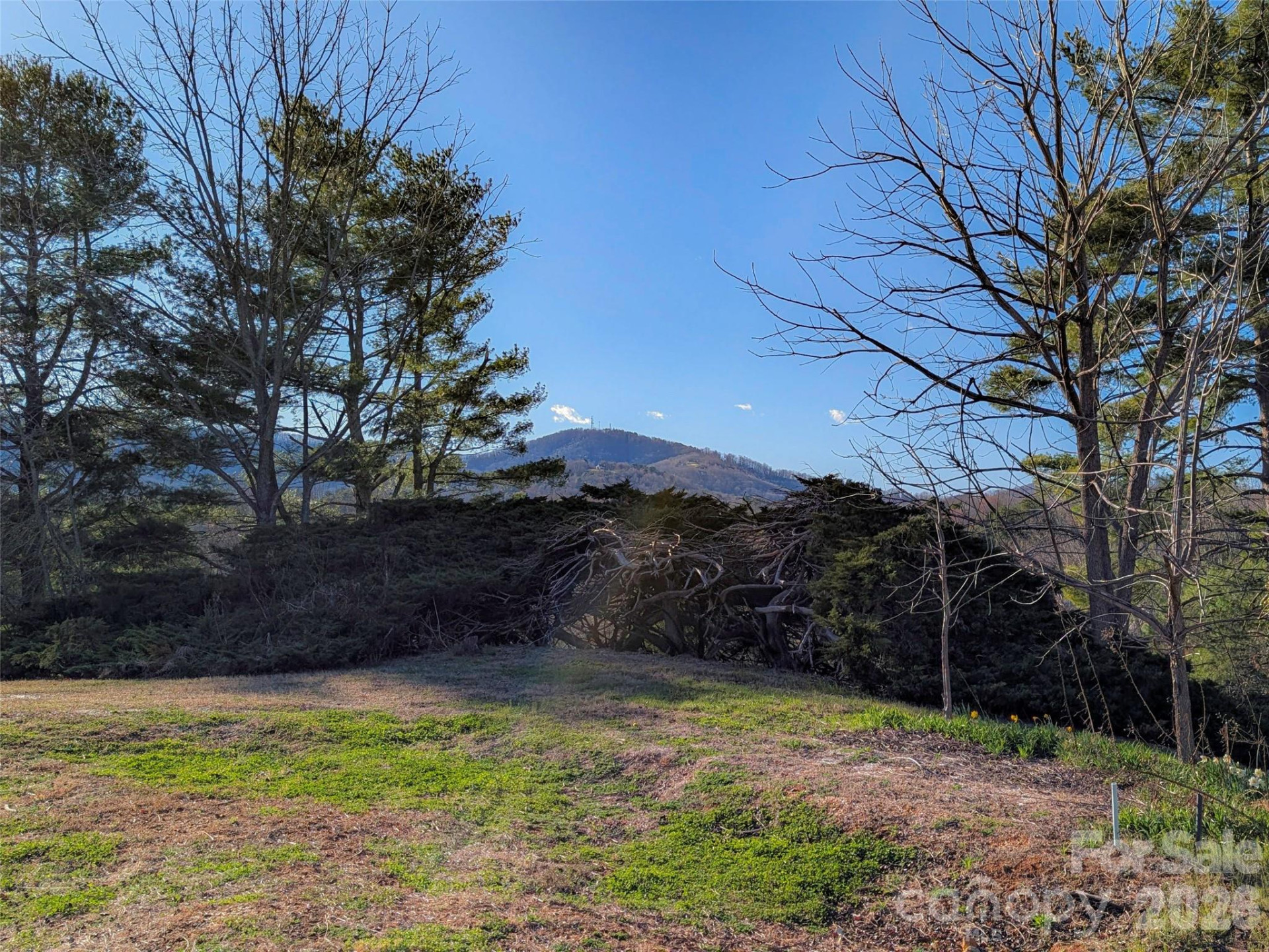 14 Mountain Terrace - Photo 21