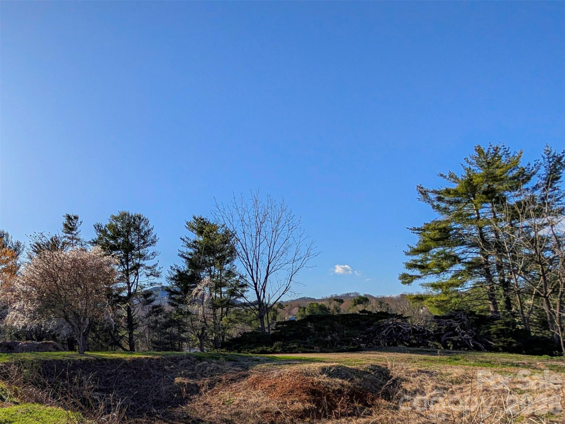 14 Mountain Terrace - Photo 24