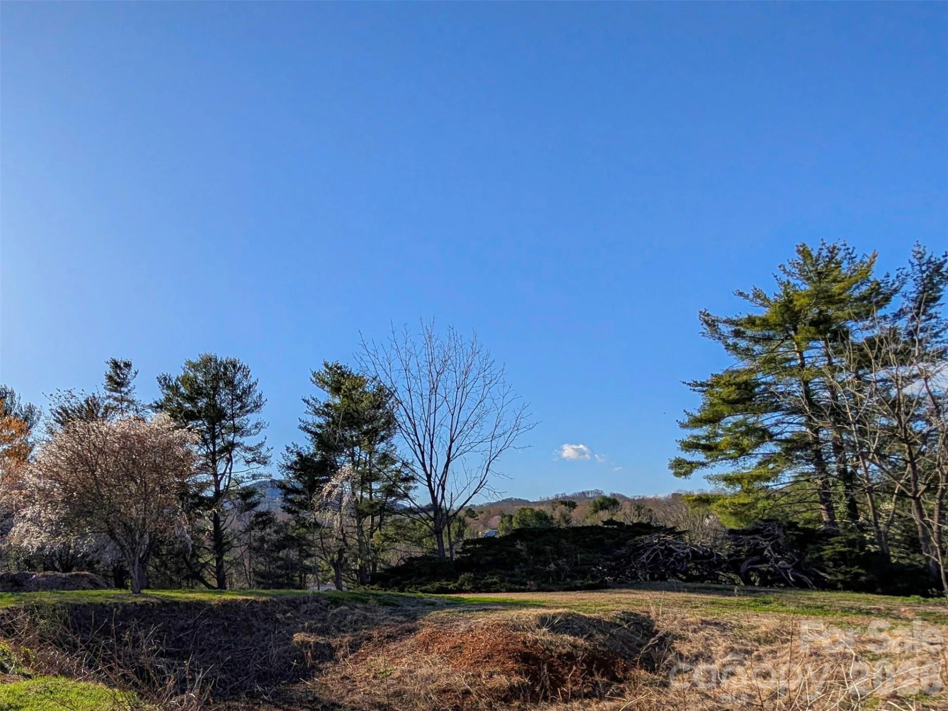 14 Mountain Terrace - Photo 24