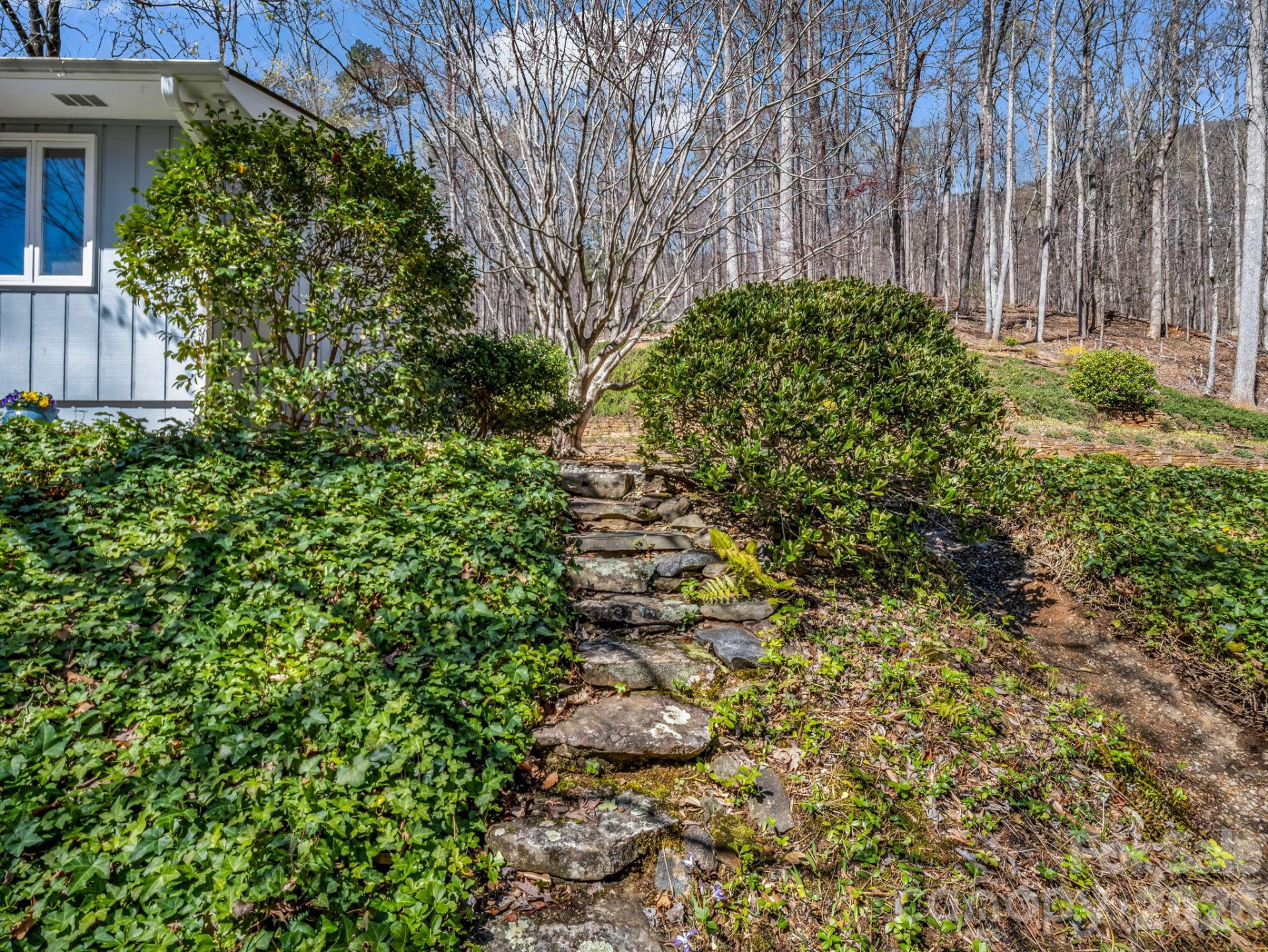 141 Shadow Creek Lane - Photo 41