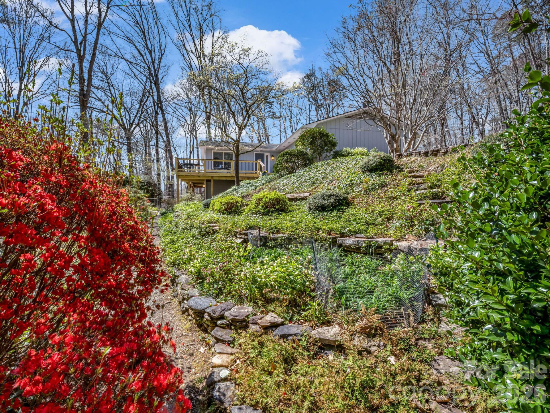 141 Shadow Creek Lane - Photo 42