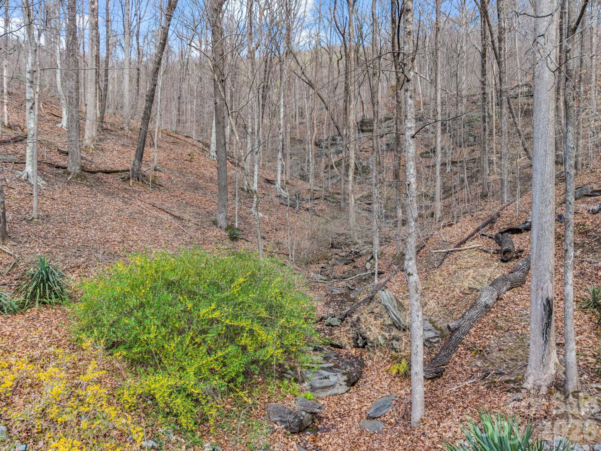 141 Shadow Creek Lane - Photo 45