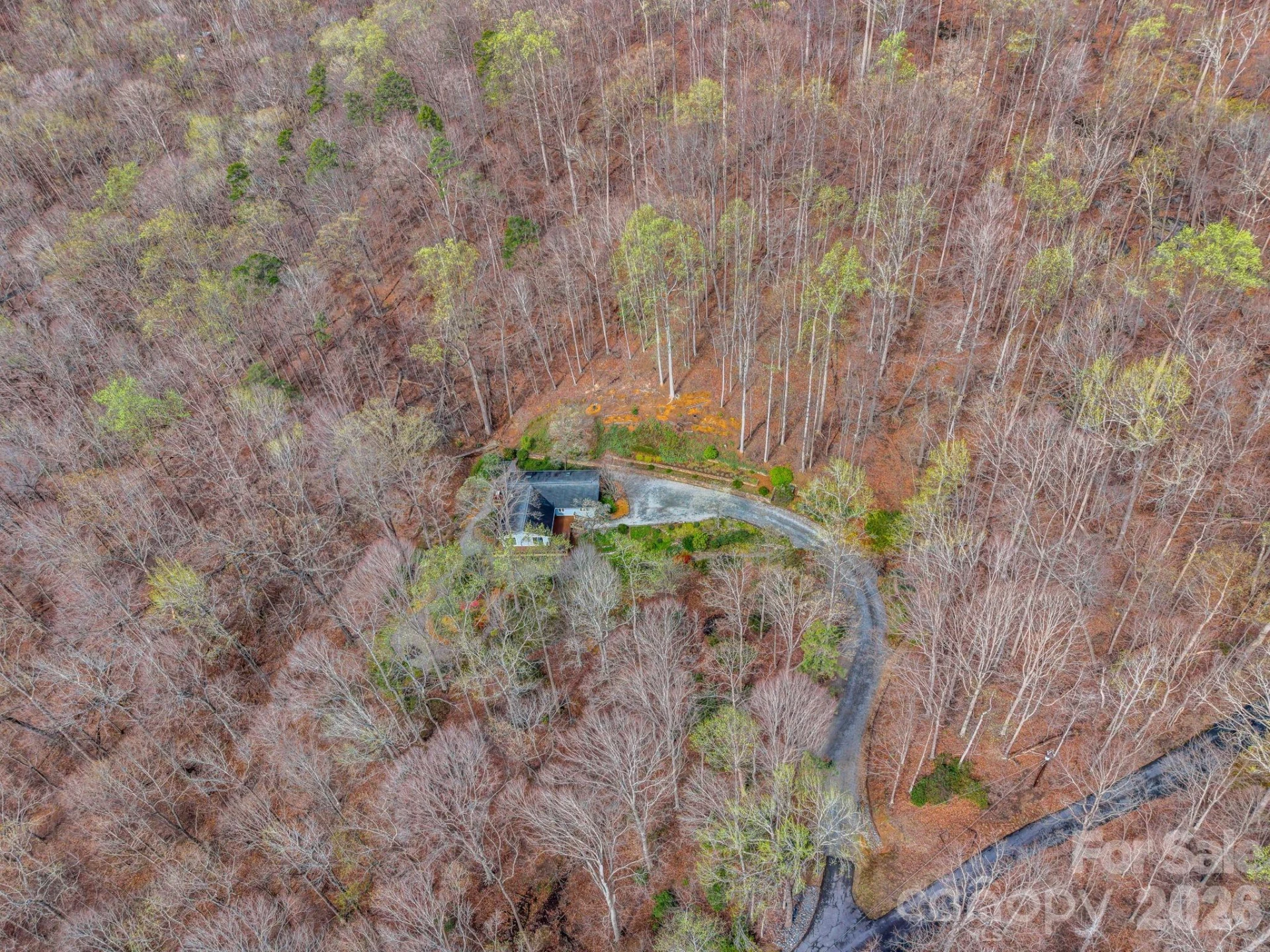 141 Shadow Creek Lane - Photo 46