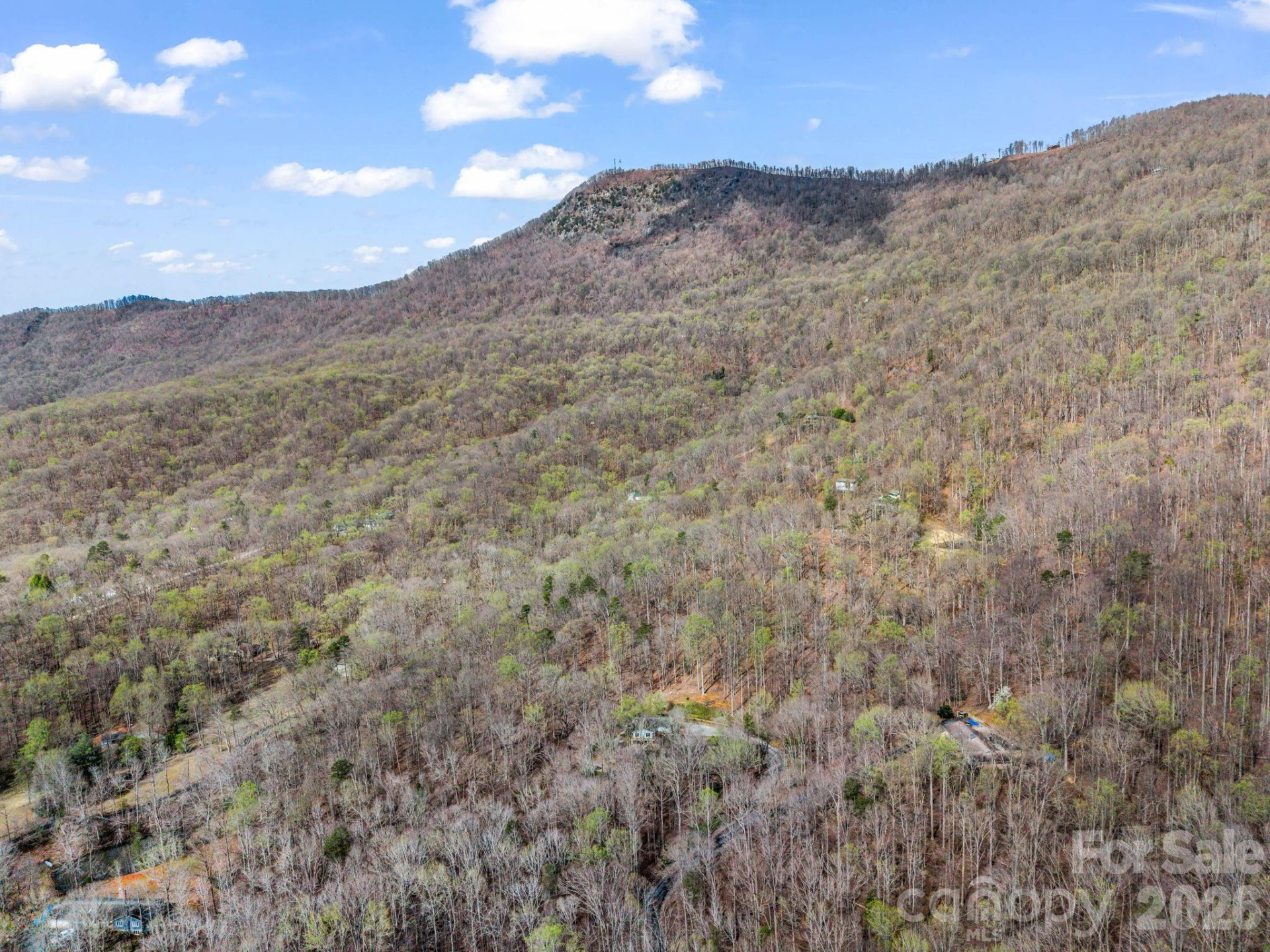141 Shadow Creek Lane - Photo 47