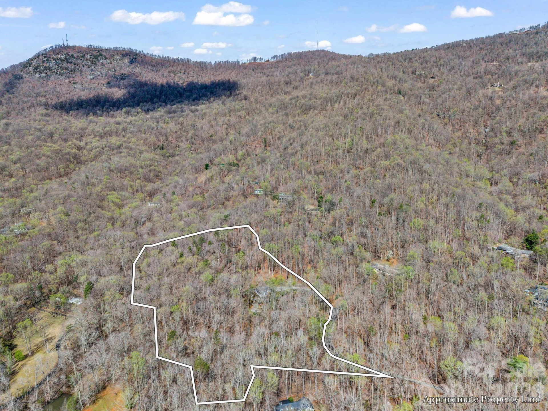 141 Shadow Creek Lane - Photo 48
