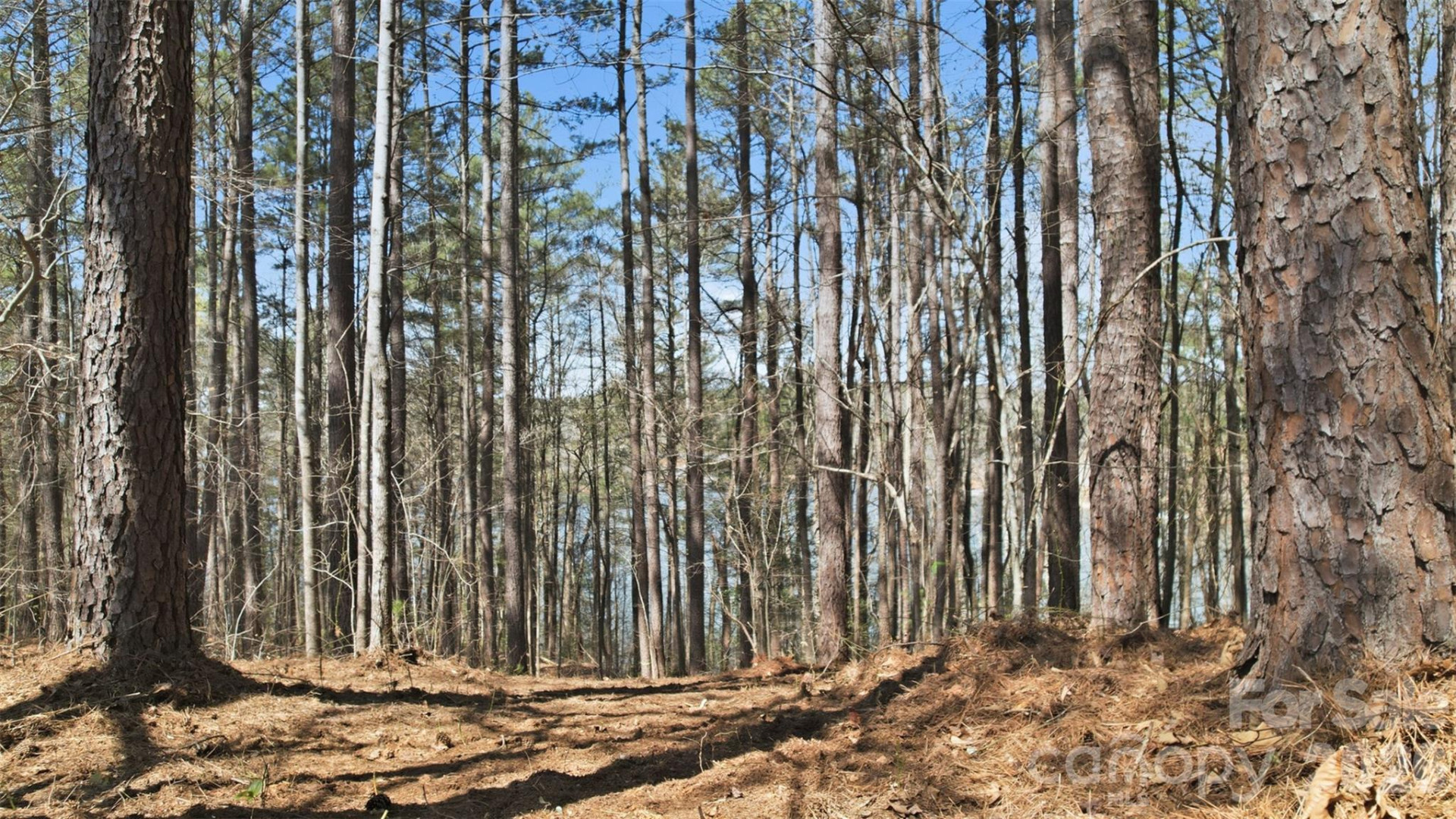 211 Ridge Top Drive #11 - Photo 17