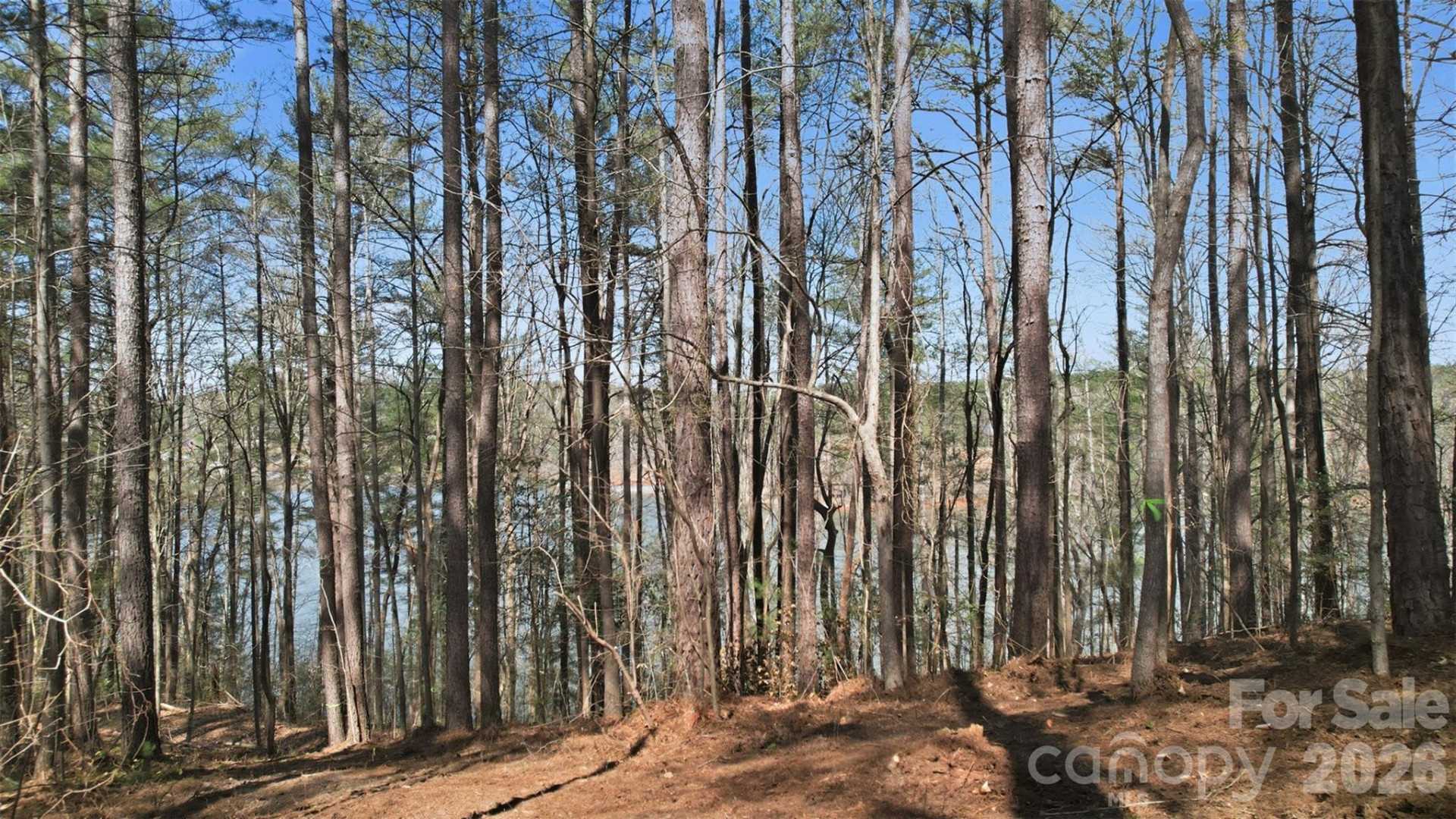 211 Ridge Top Drive #11 - Photo 18
